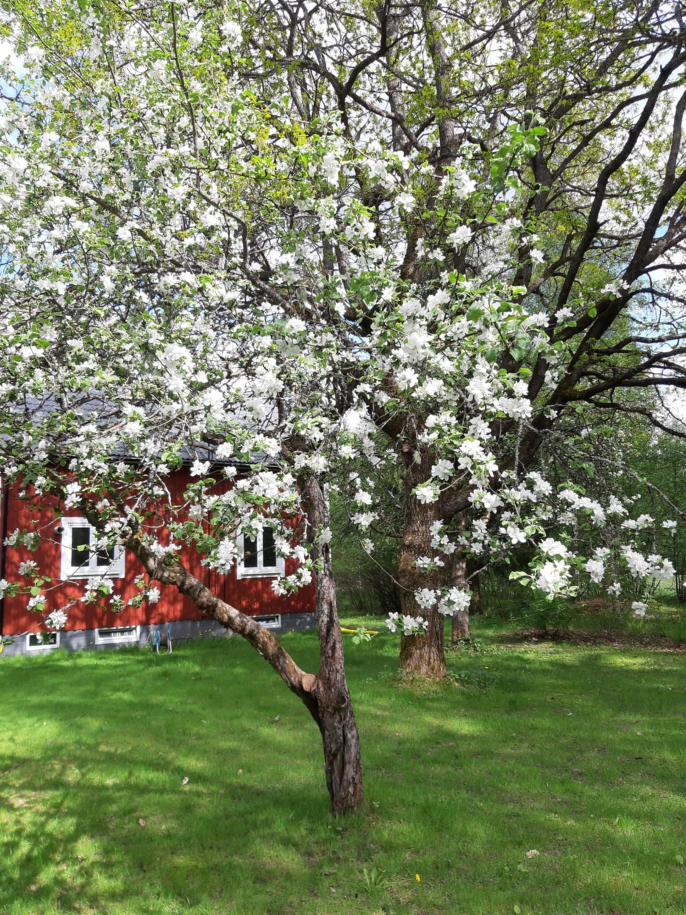 Charming holiday home Villa Berika view 5