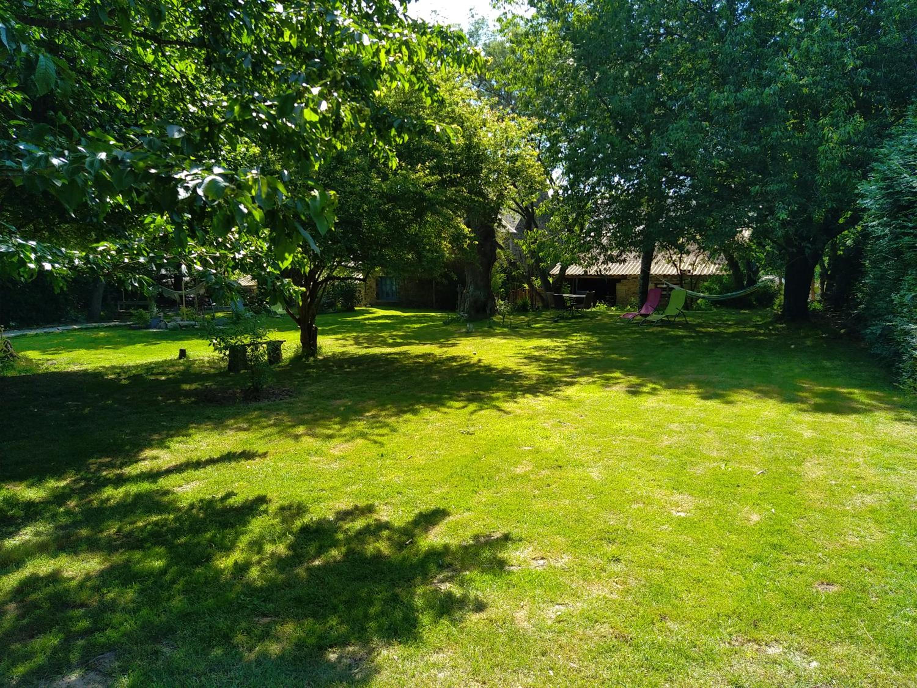 Photo 31