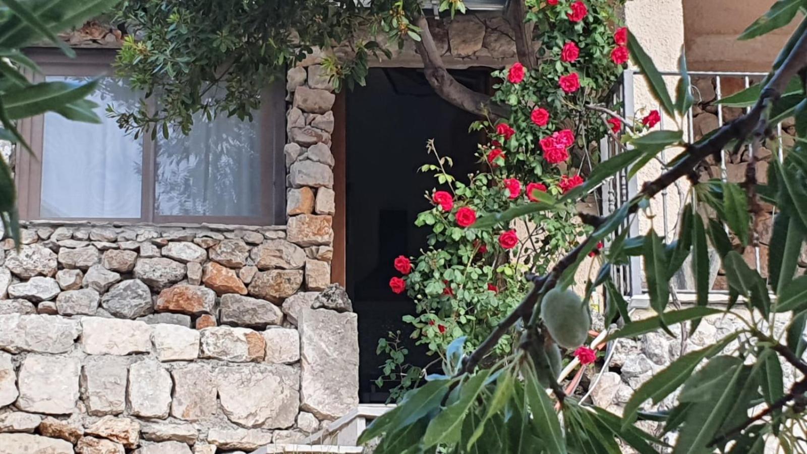 Villa Jerković-Secluded house with pool
