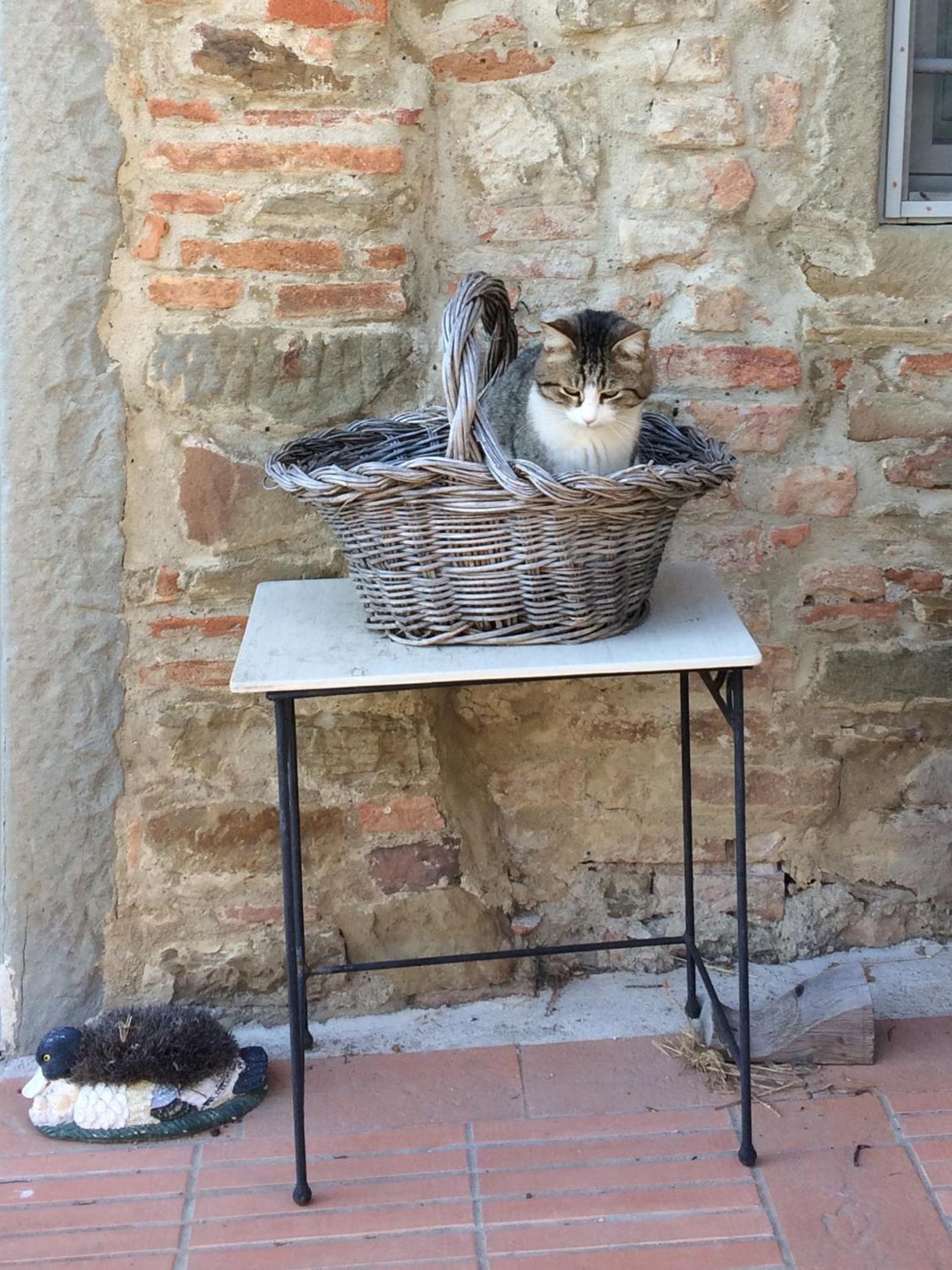 Photo 24