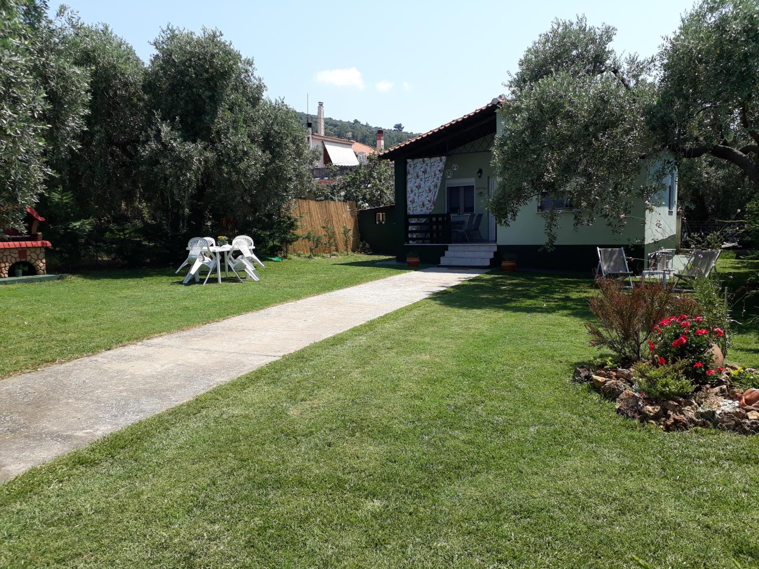 Photo 8