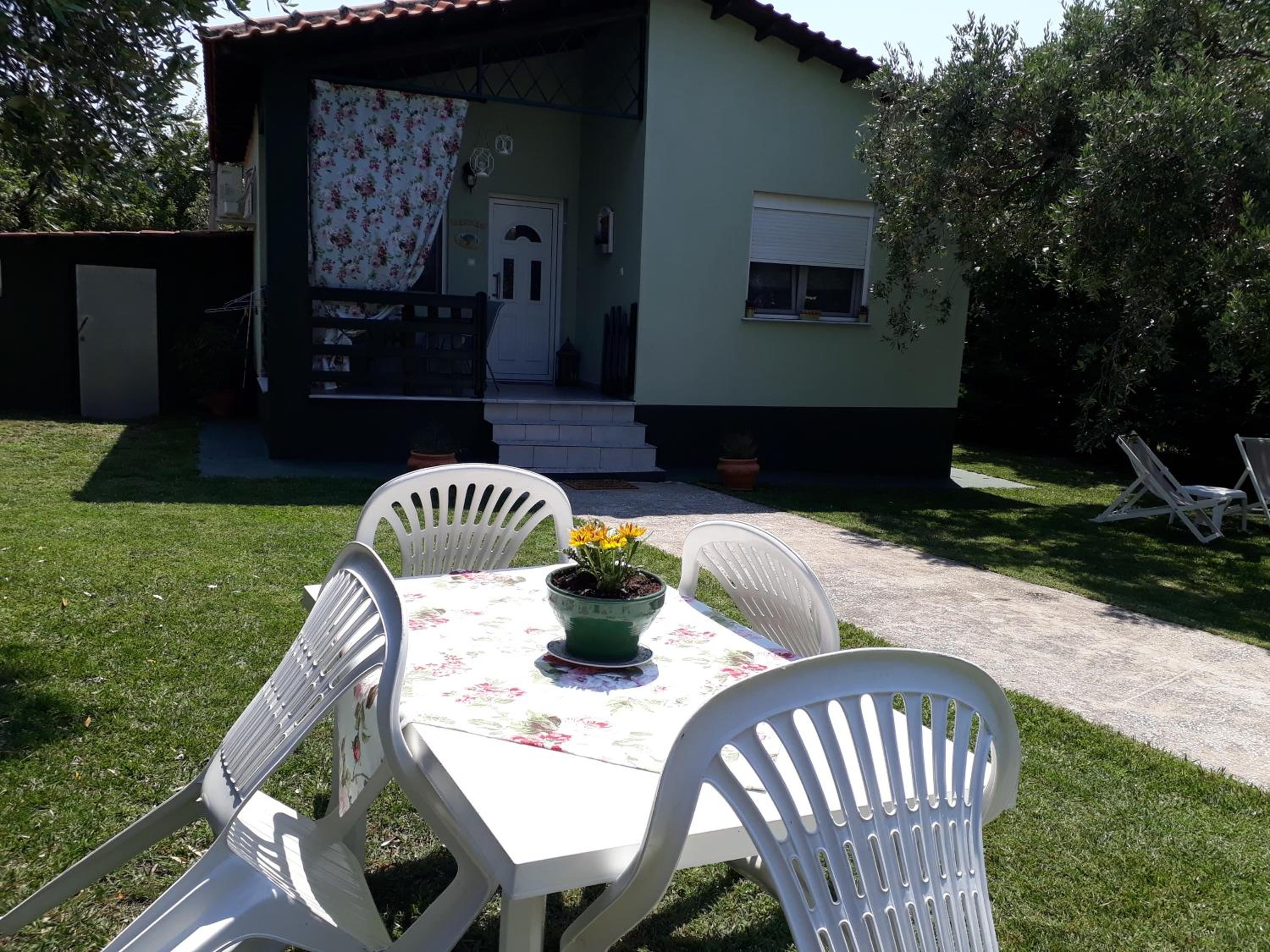 Photo 6