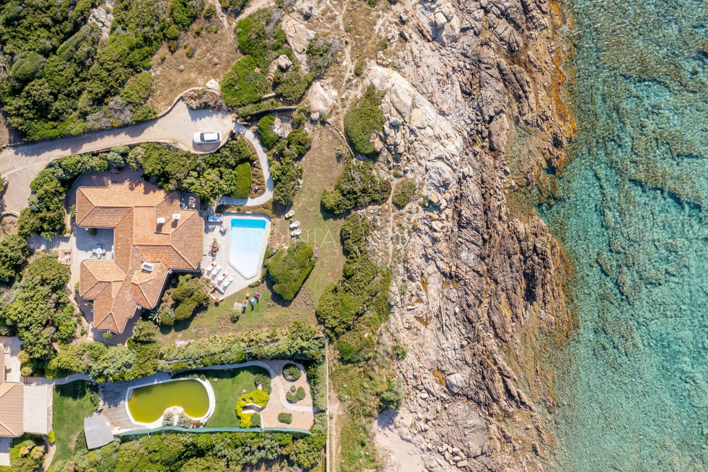 Smeralda photo 3
