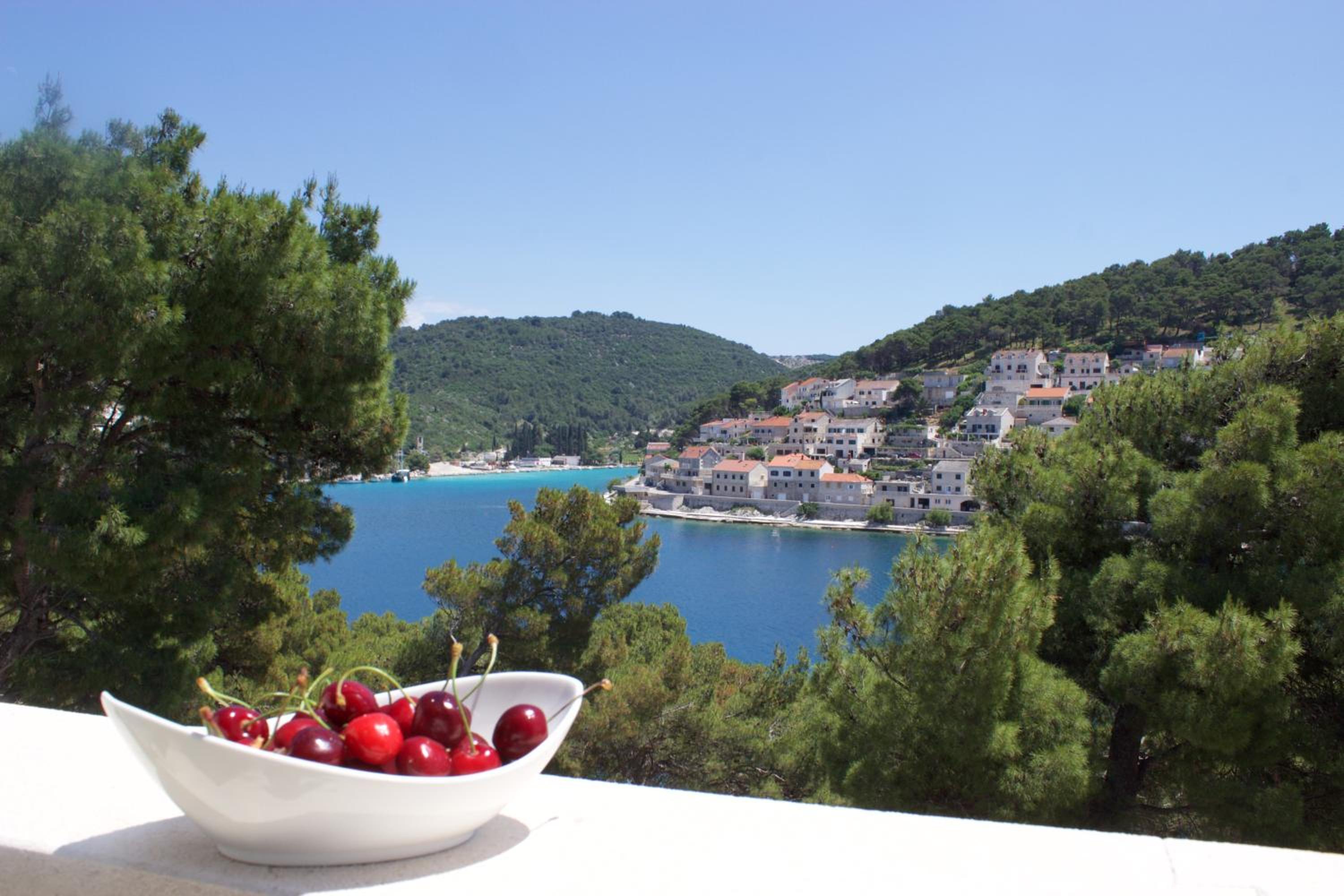 Photo 51
