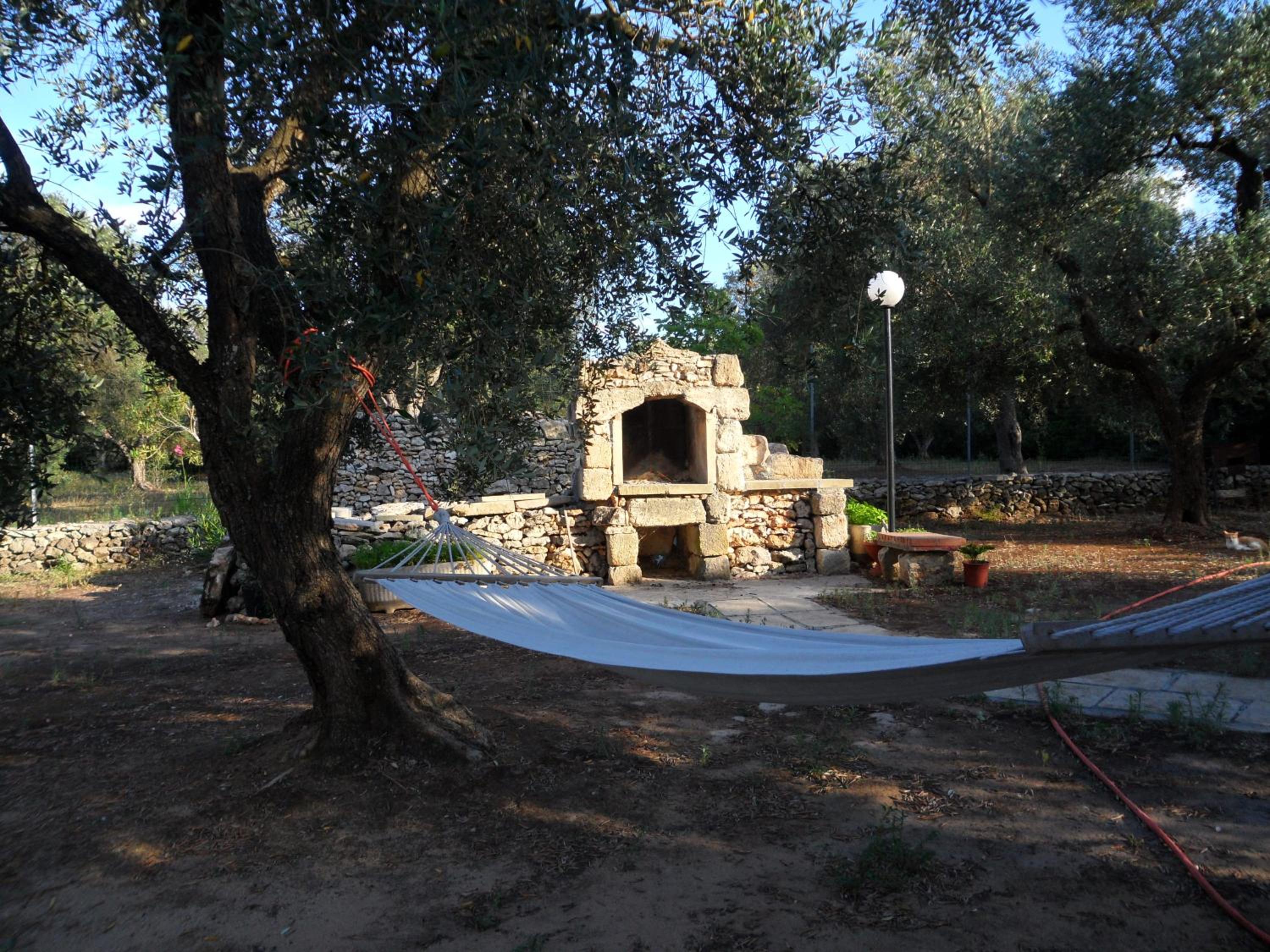 Villetta tra gli ulivi photo 3