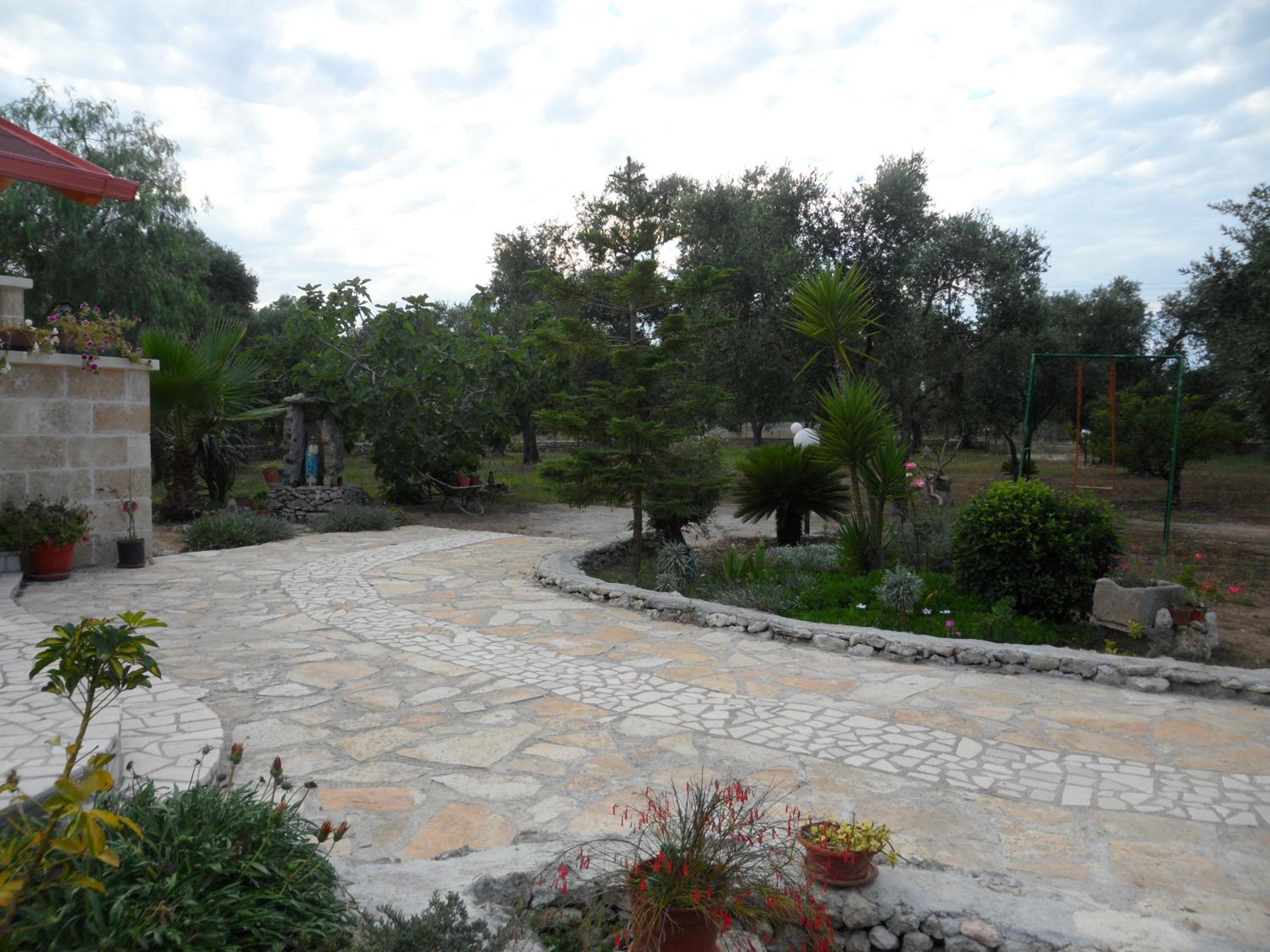 Villetta tra gli ulivi photo 5