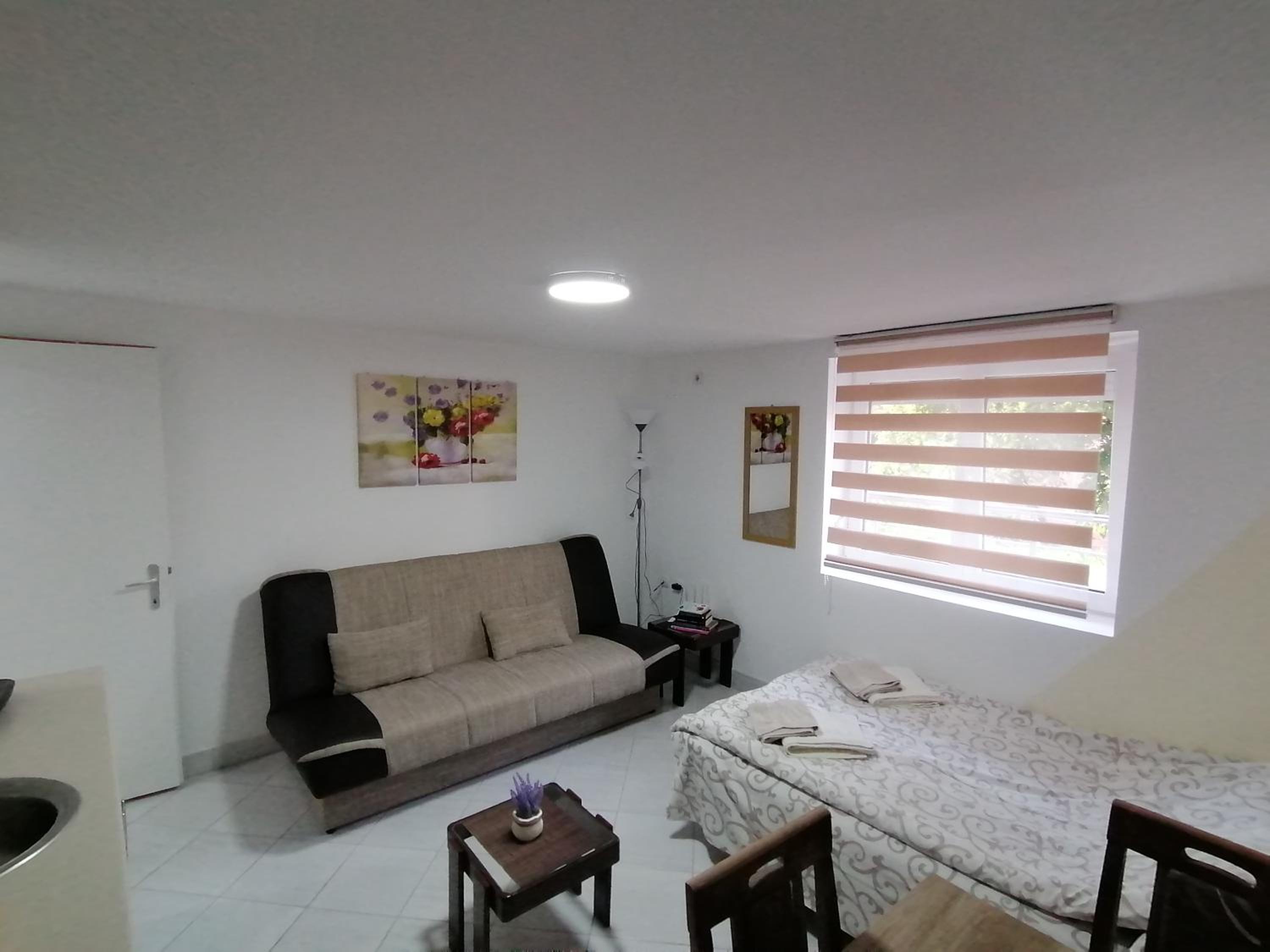 Apartman Radojković view 5