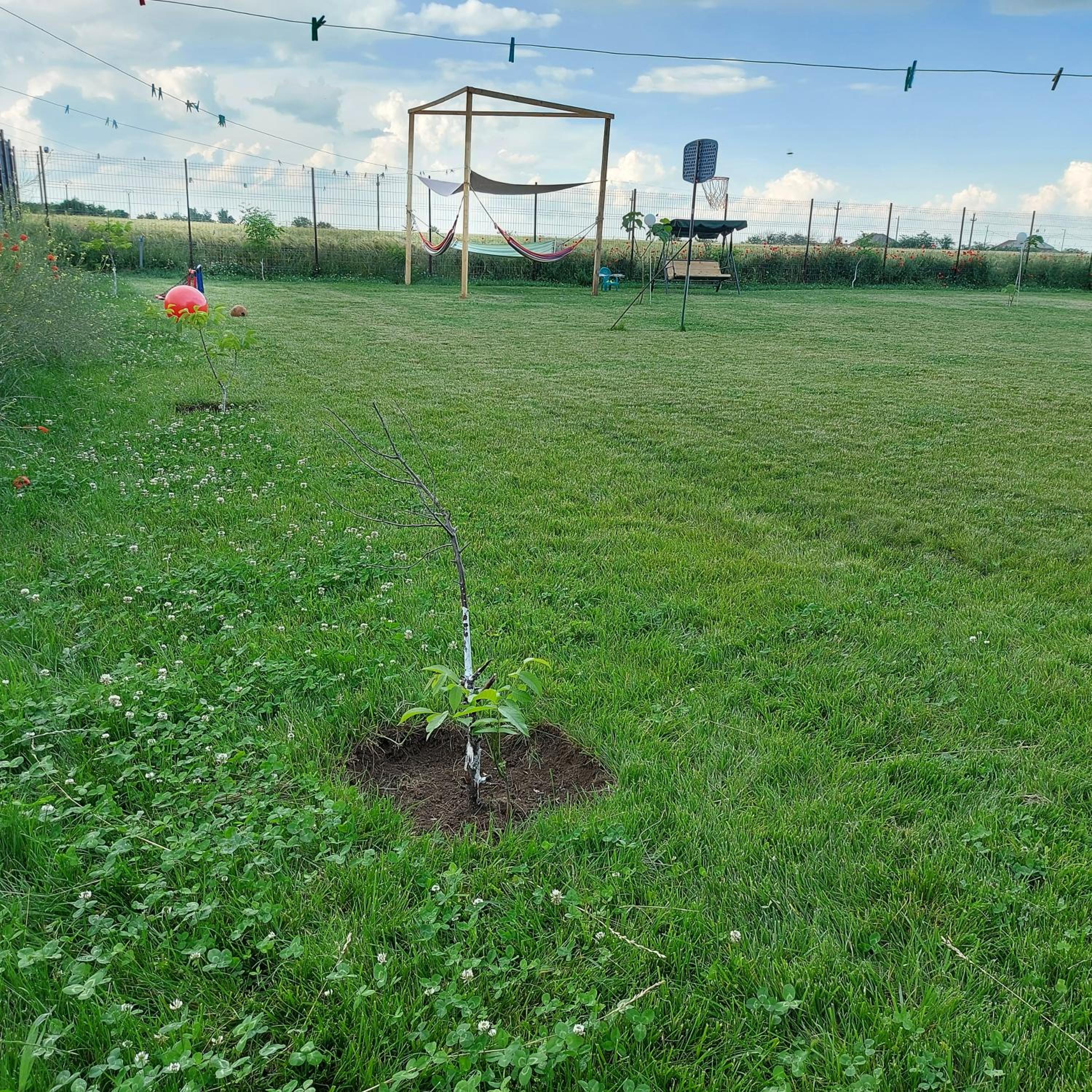 Photo 41