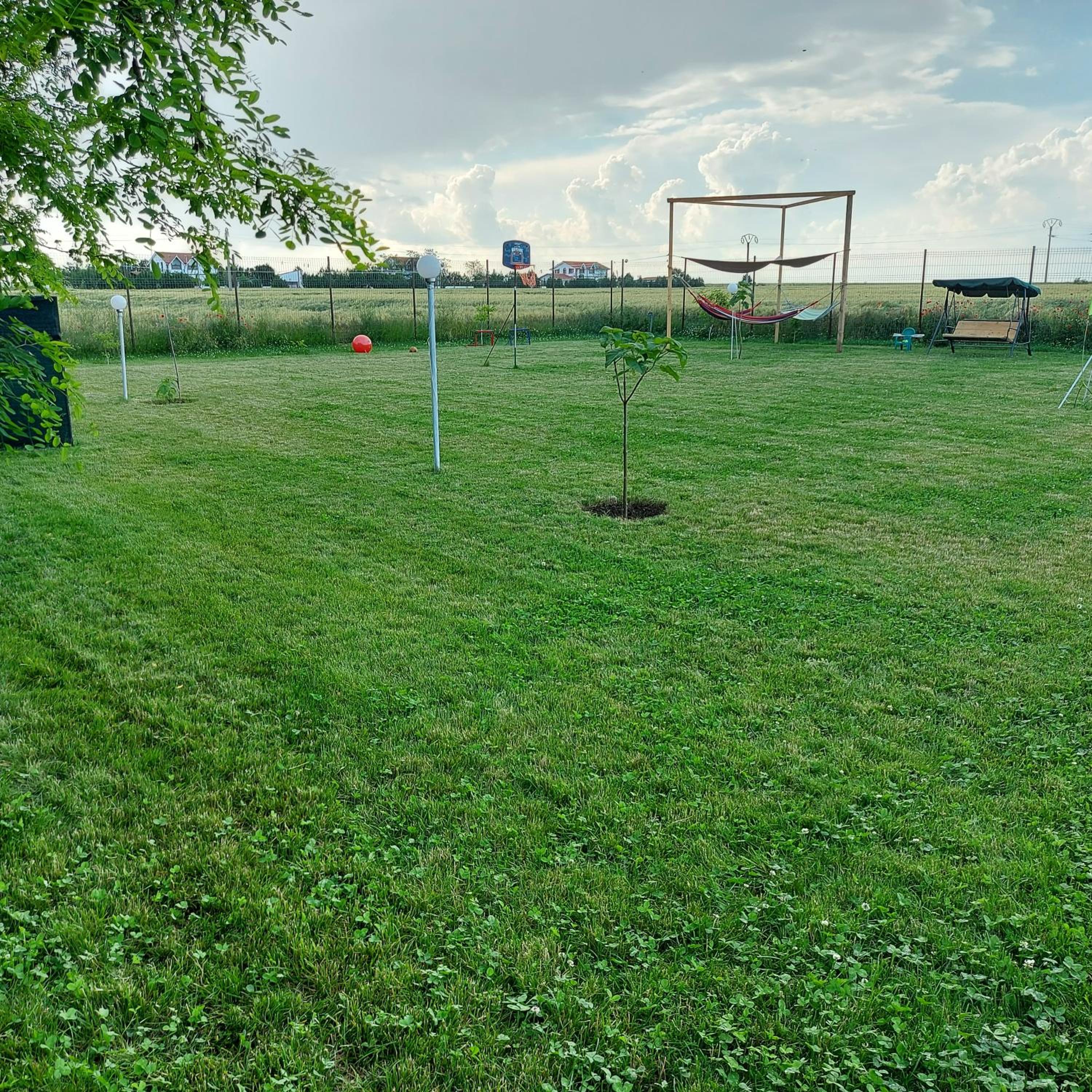 Photo 40