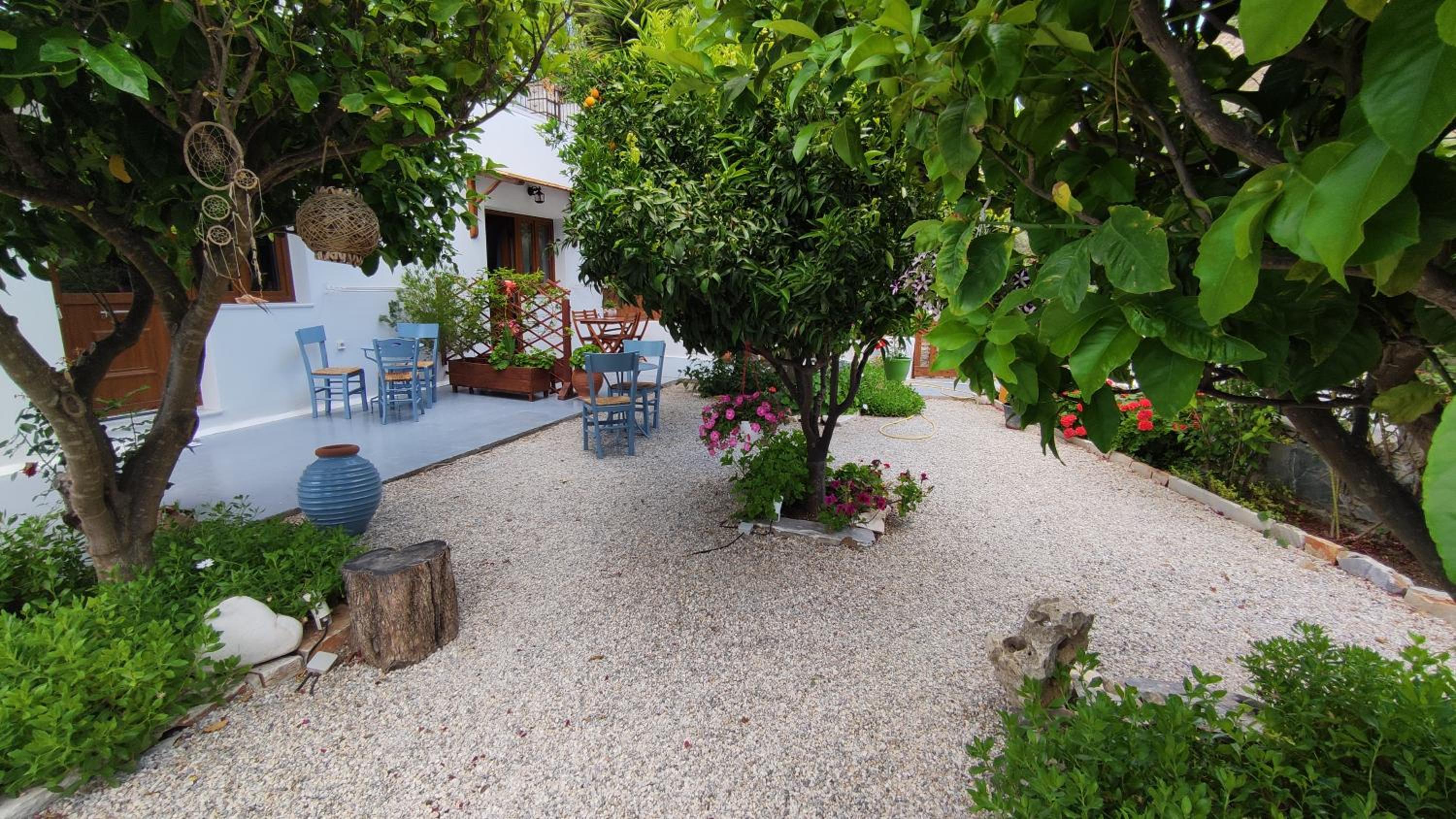 Dreamcatcher of Zeus