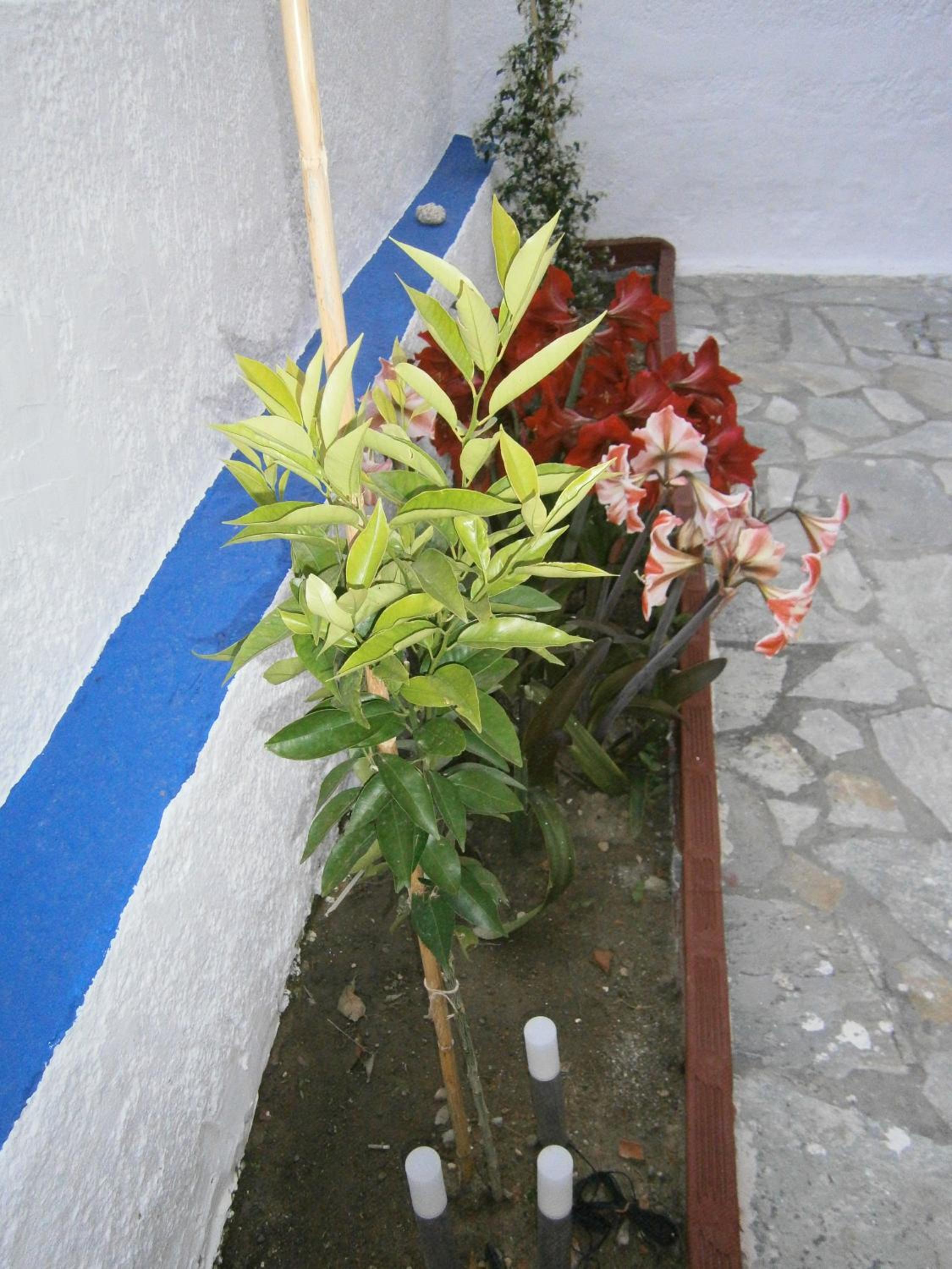 Photo 54