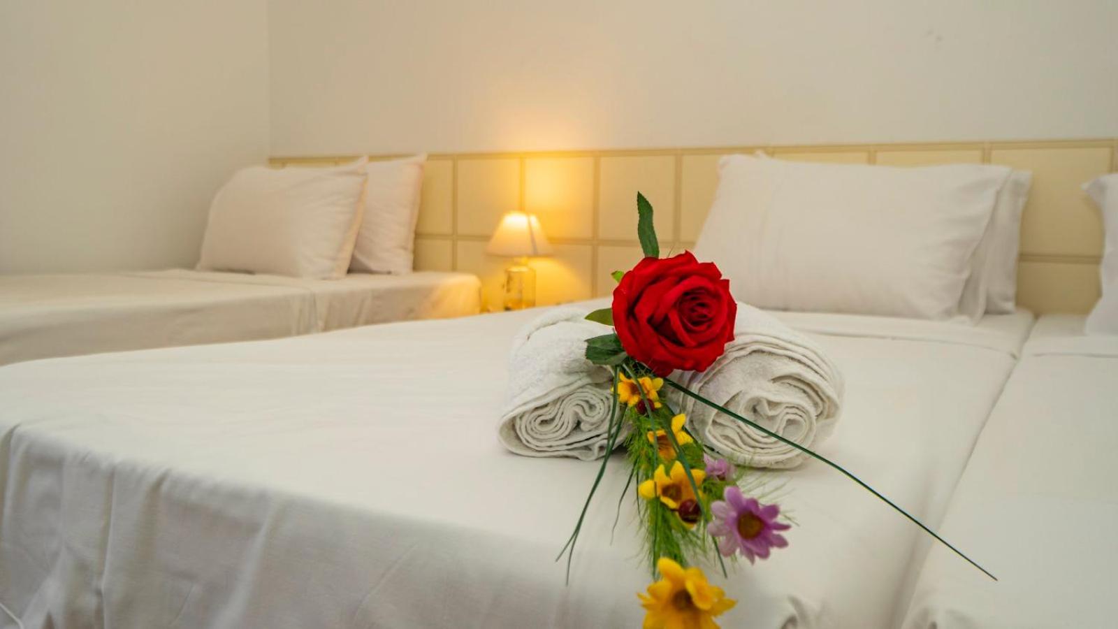 Guest House Elidis
