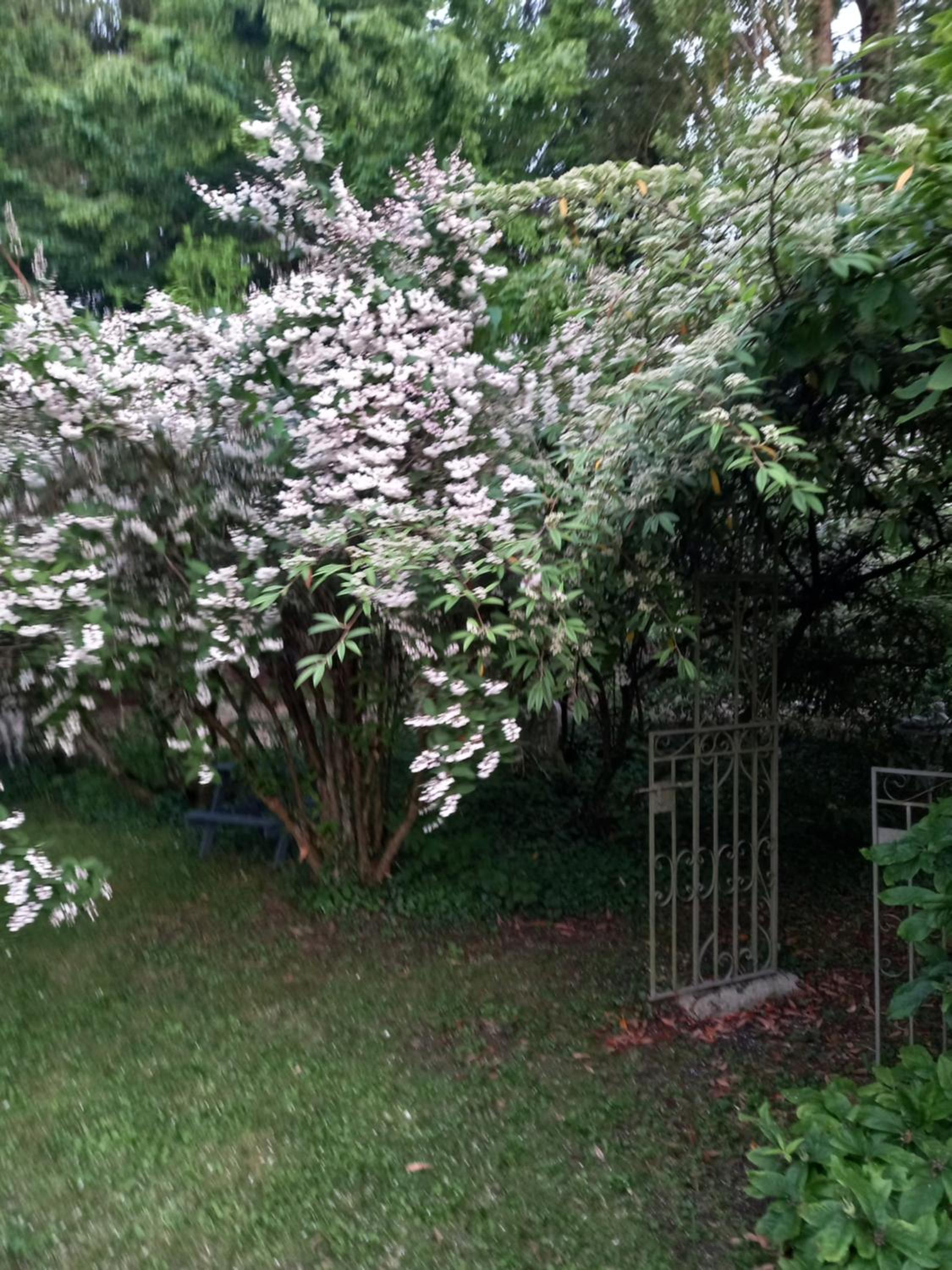 Photo 47