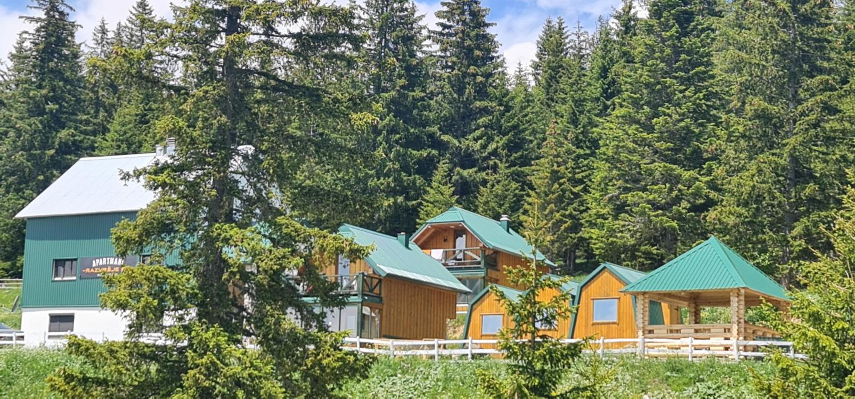 Razvršje Co view 3