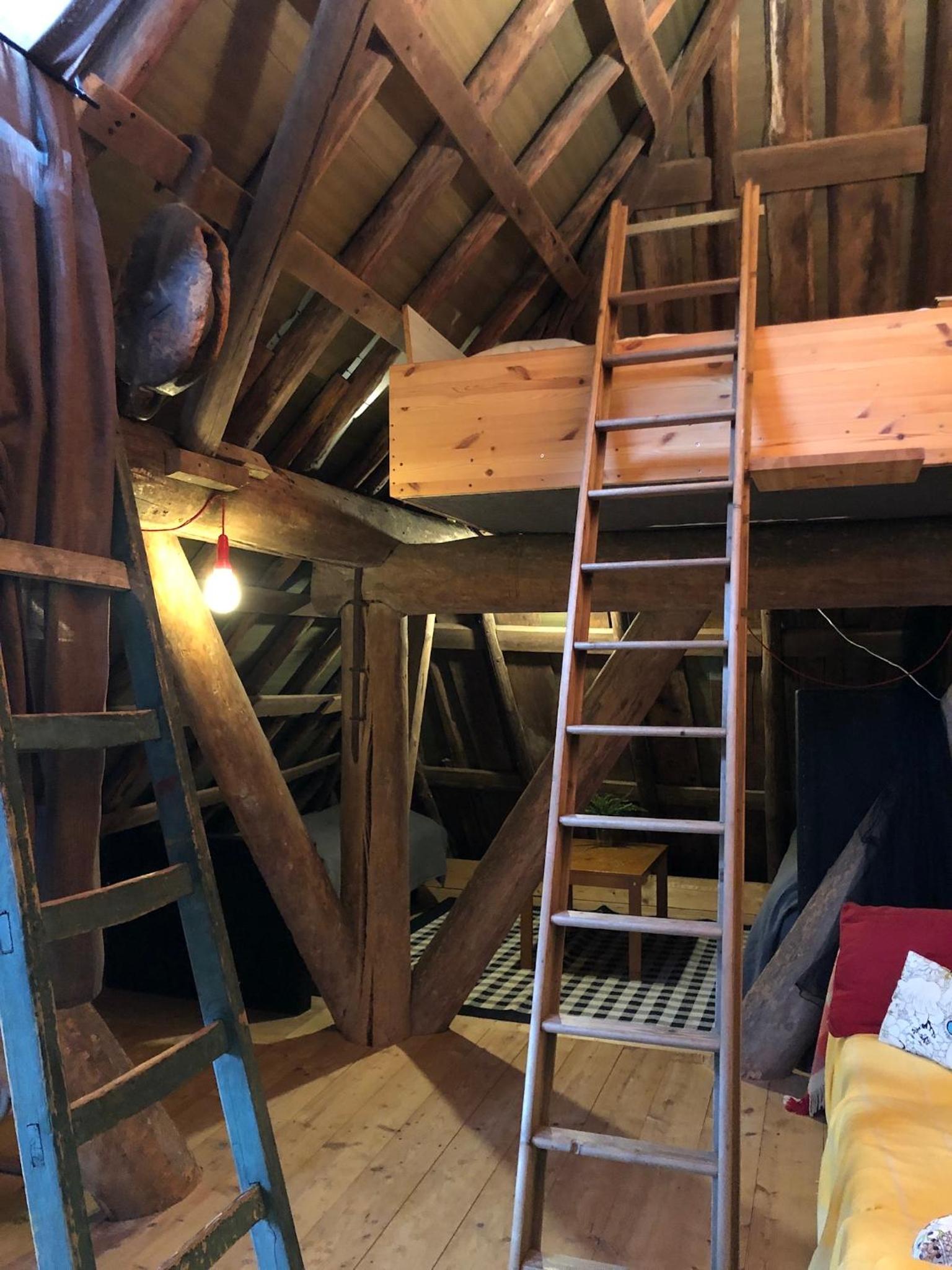 Photo 16