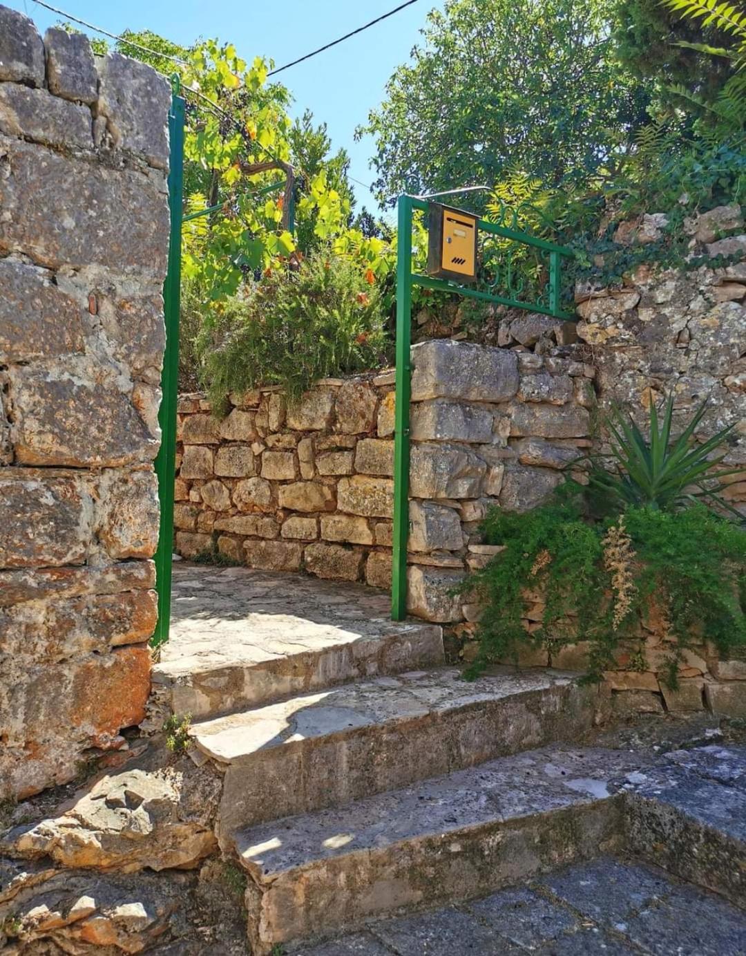 Photo 16