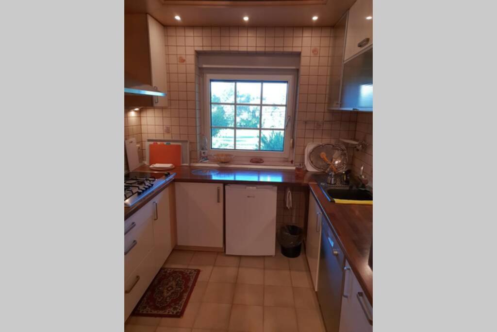 The Pearl of the Danube Bend - Regina Apartman view 4