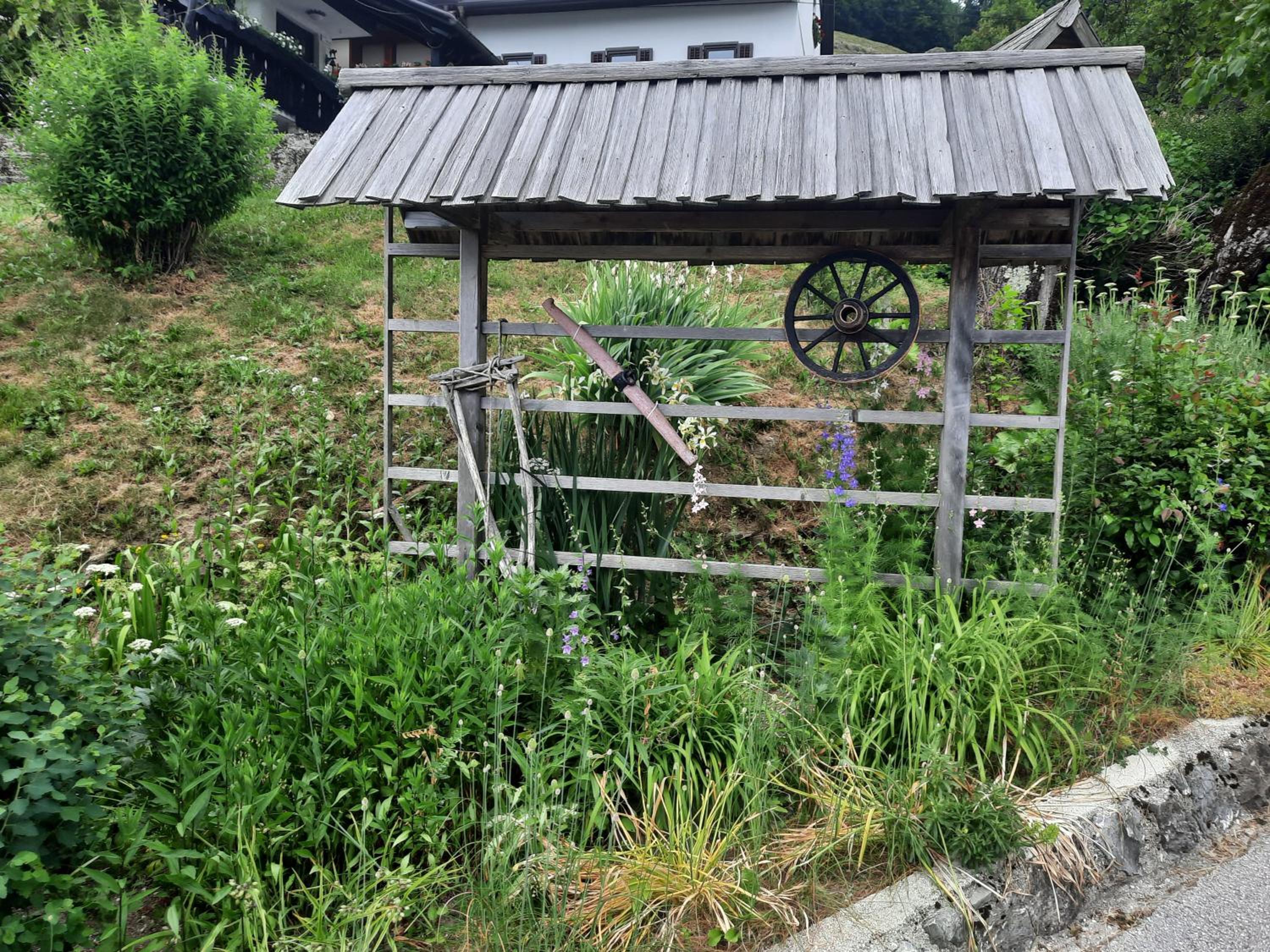 Photo 26