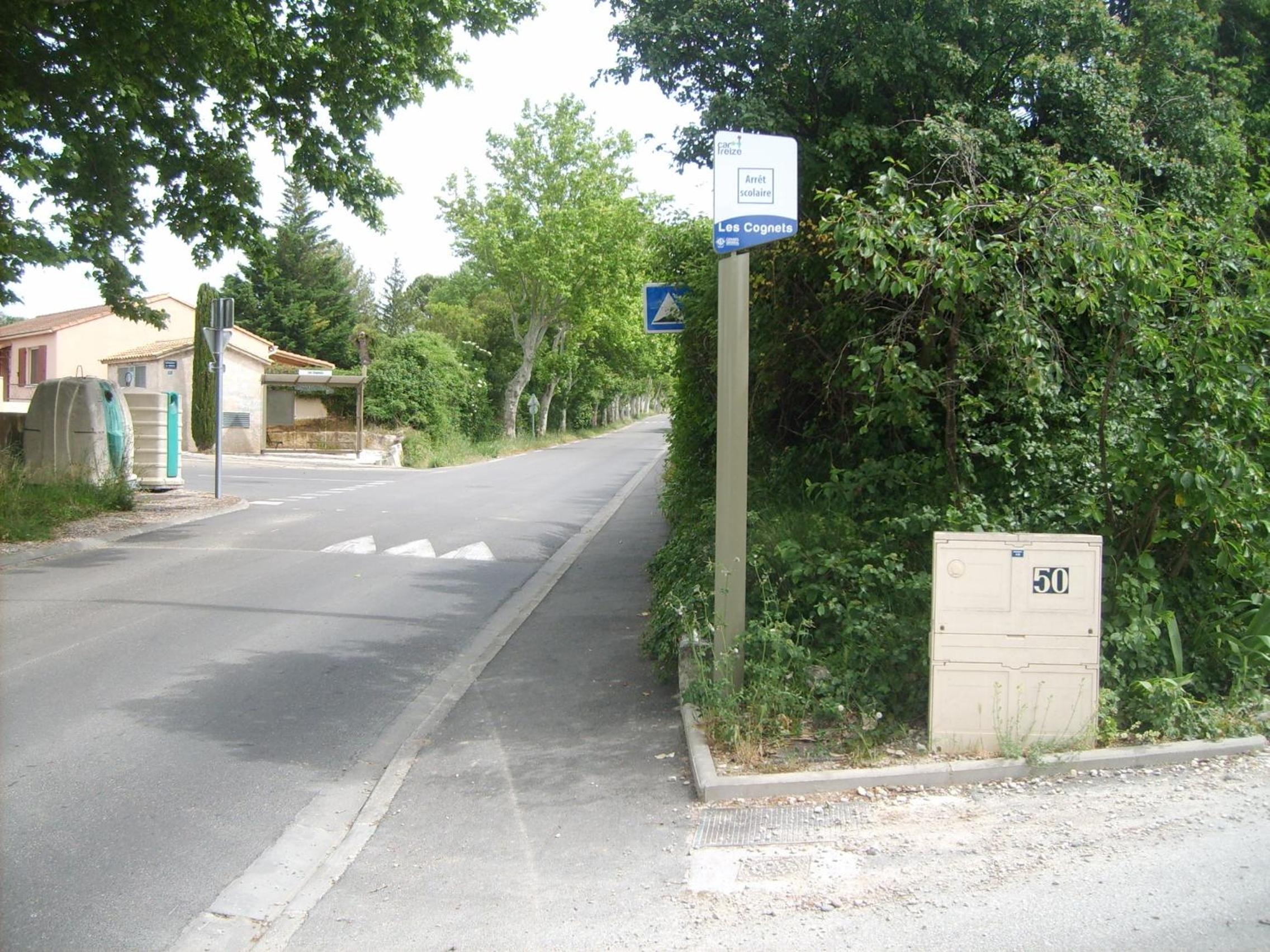 Photo 19