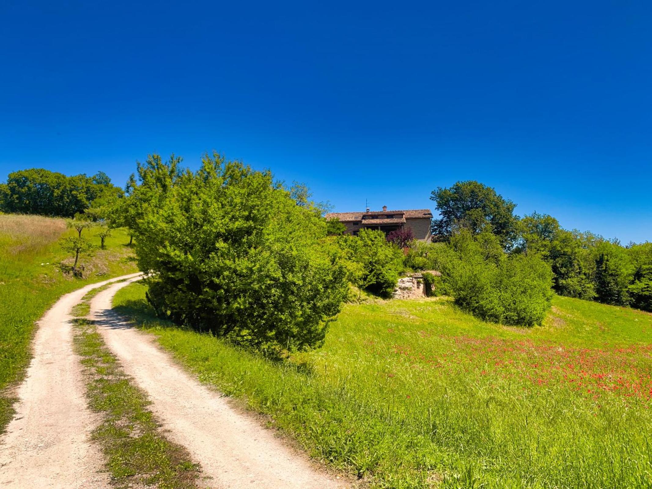 Villa Le Brugnolete - Appartamento Est photo 5
