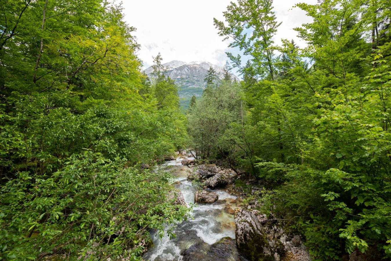 Cottages Kravanja view 5