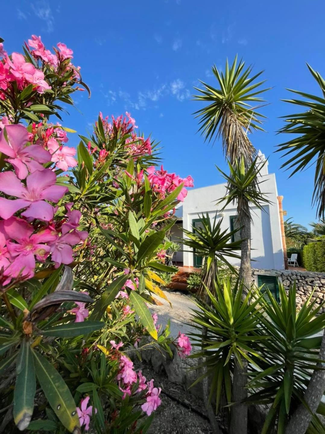 Villa Dei Gabbiani