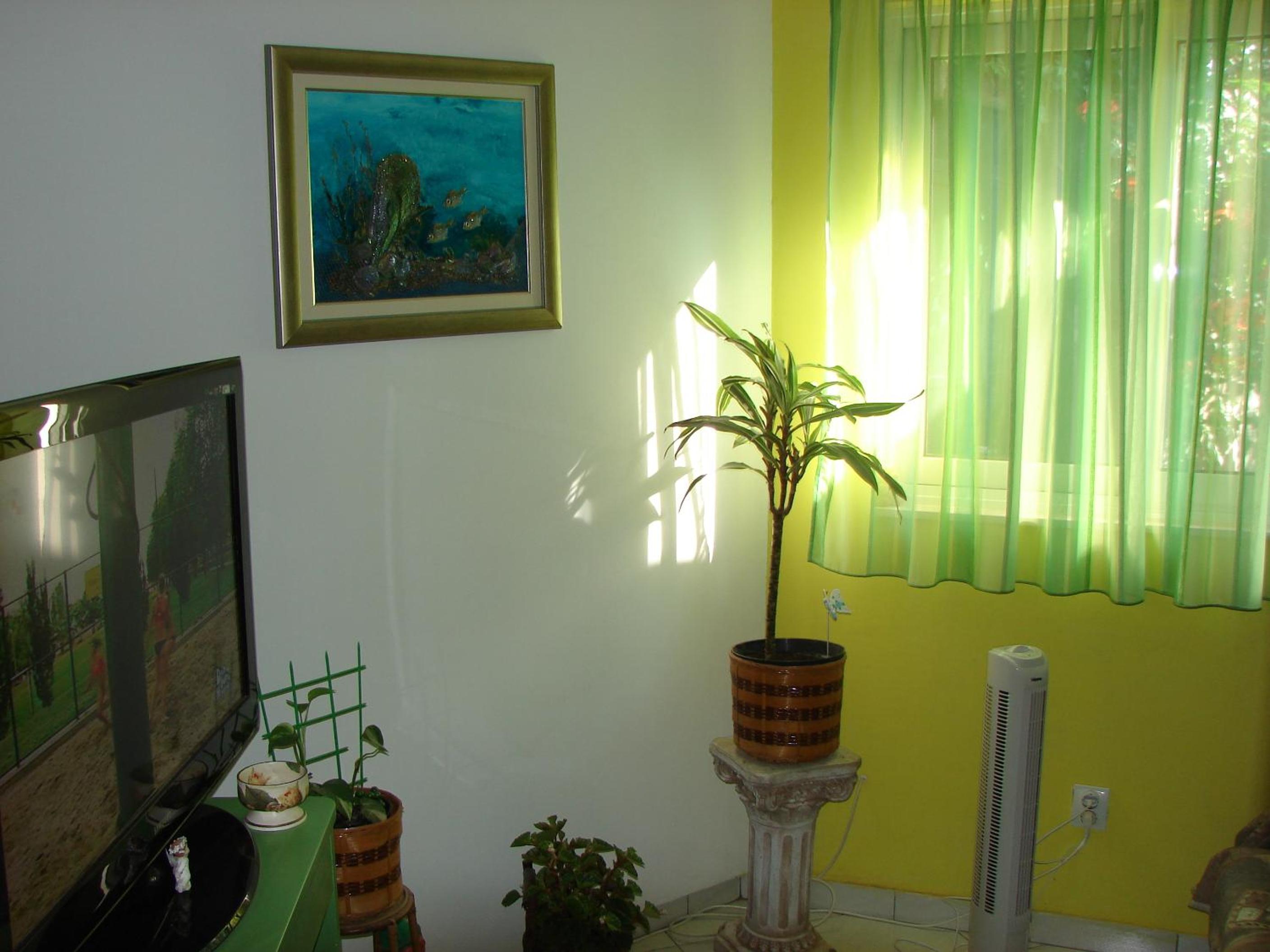 Photo 49