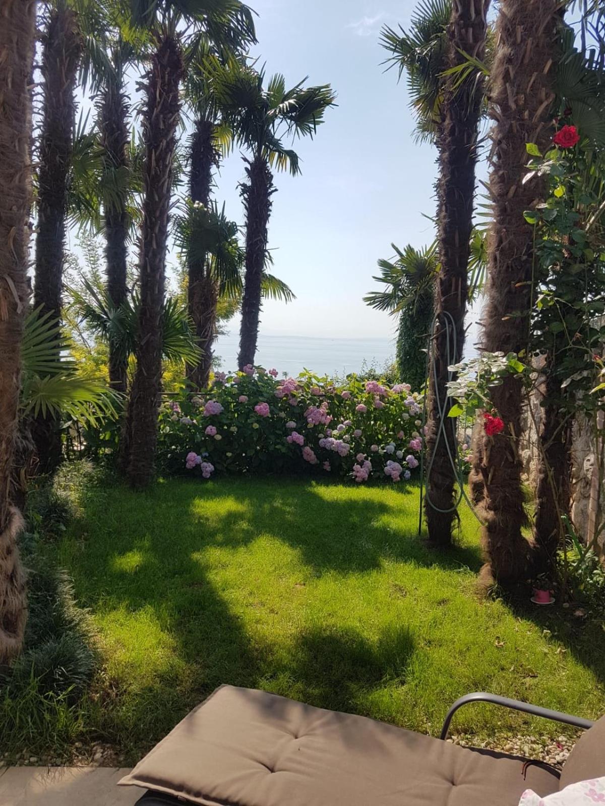 Beautiful View Apt 3