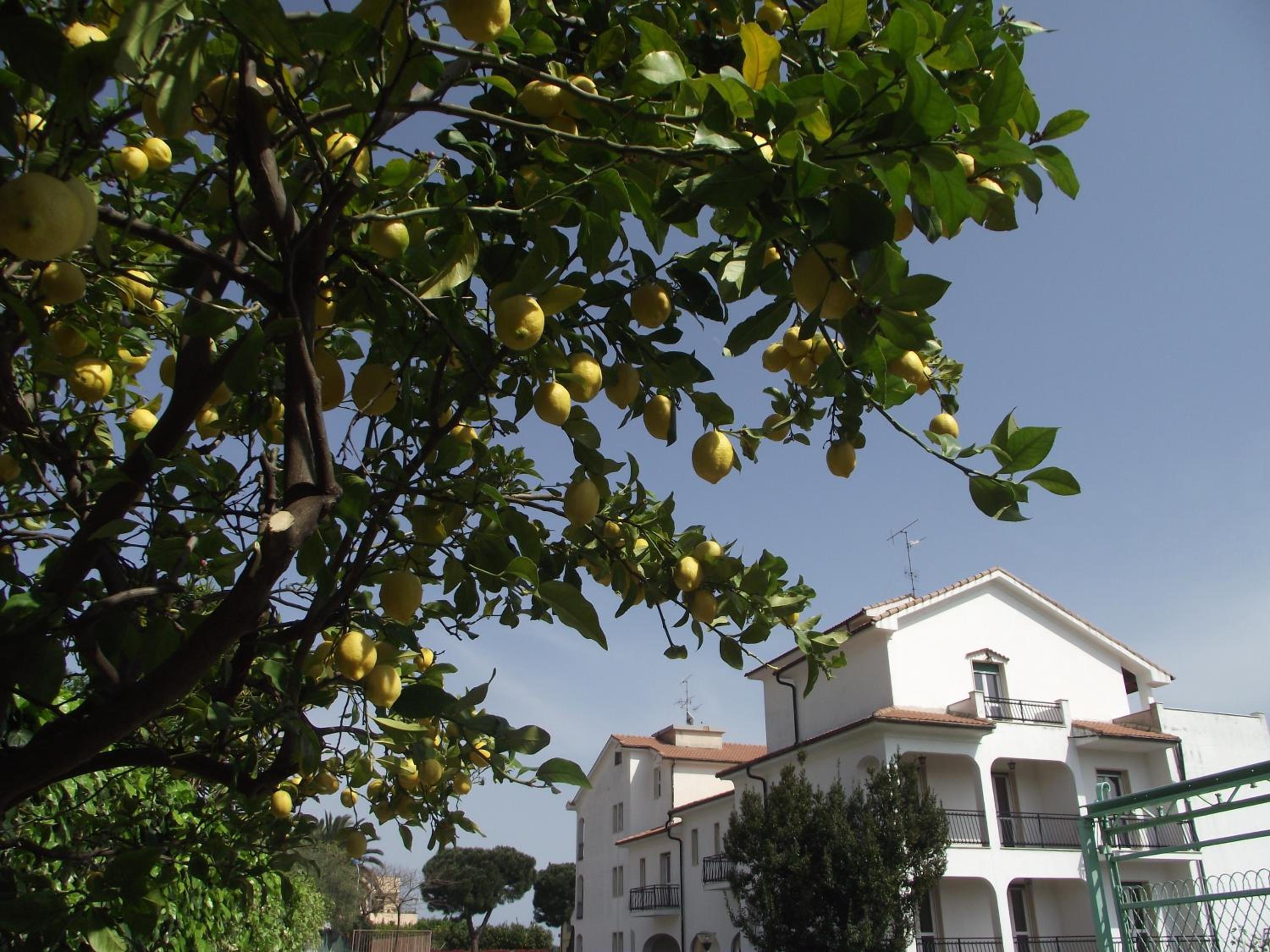 Riviera Apartments