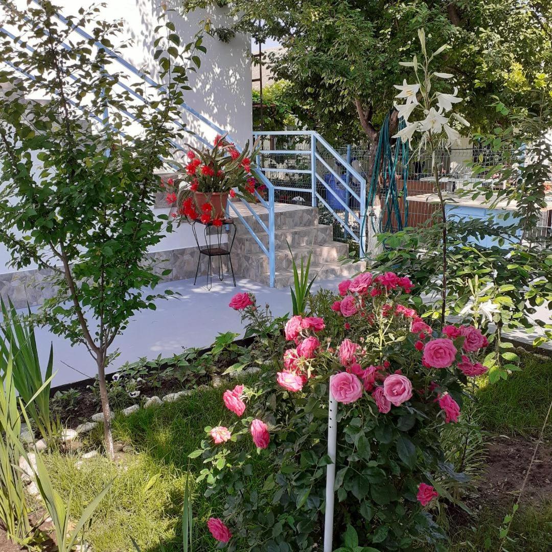 Photo 10