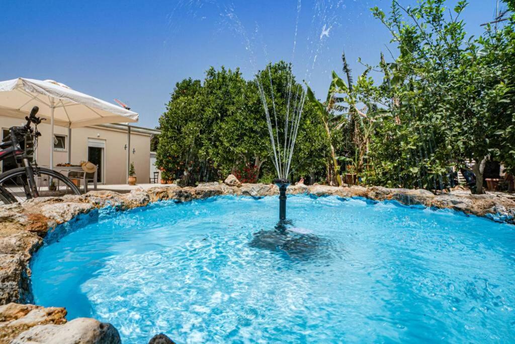 Olga's Organic garden Home for a couple! with Wifi & AC