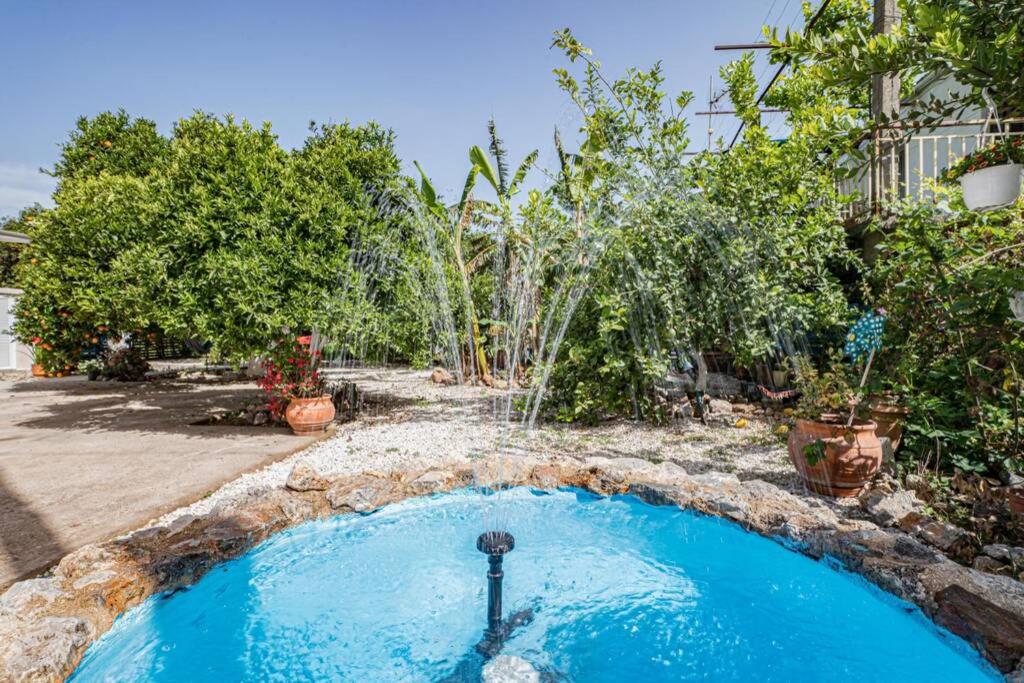Olga's Organic garden Home for a couple! with Wifi & AC view 3