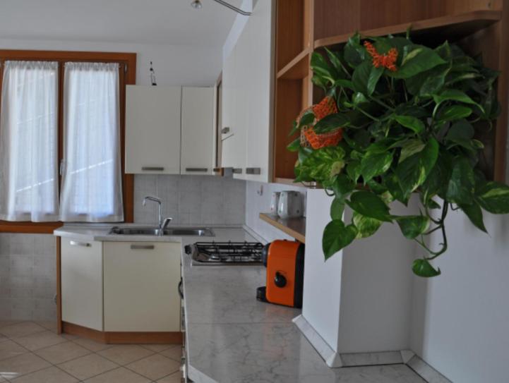 Appartamento Dante Faver Val di Cembra Ospitar view 4