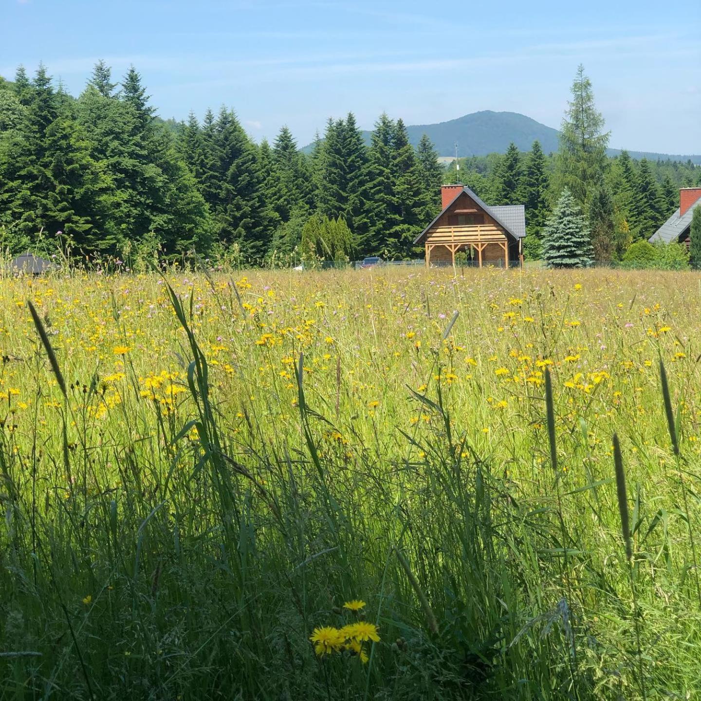 Klimkowskie Zacisze - domek całoroczny