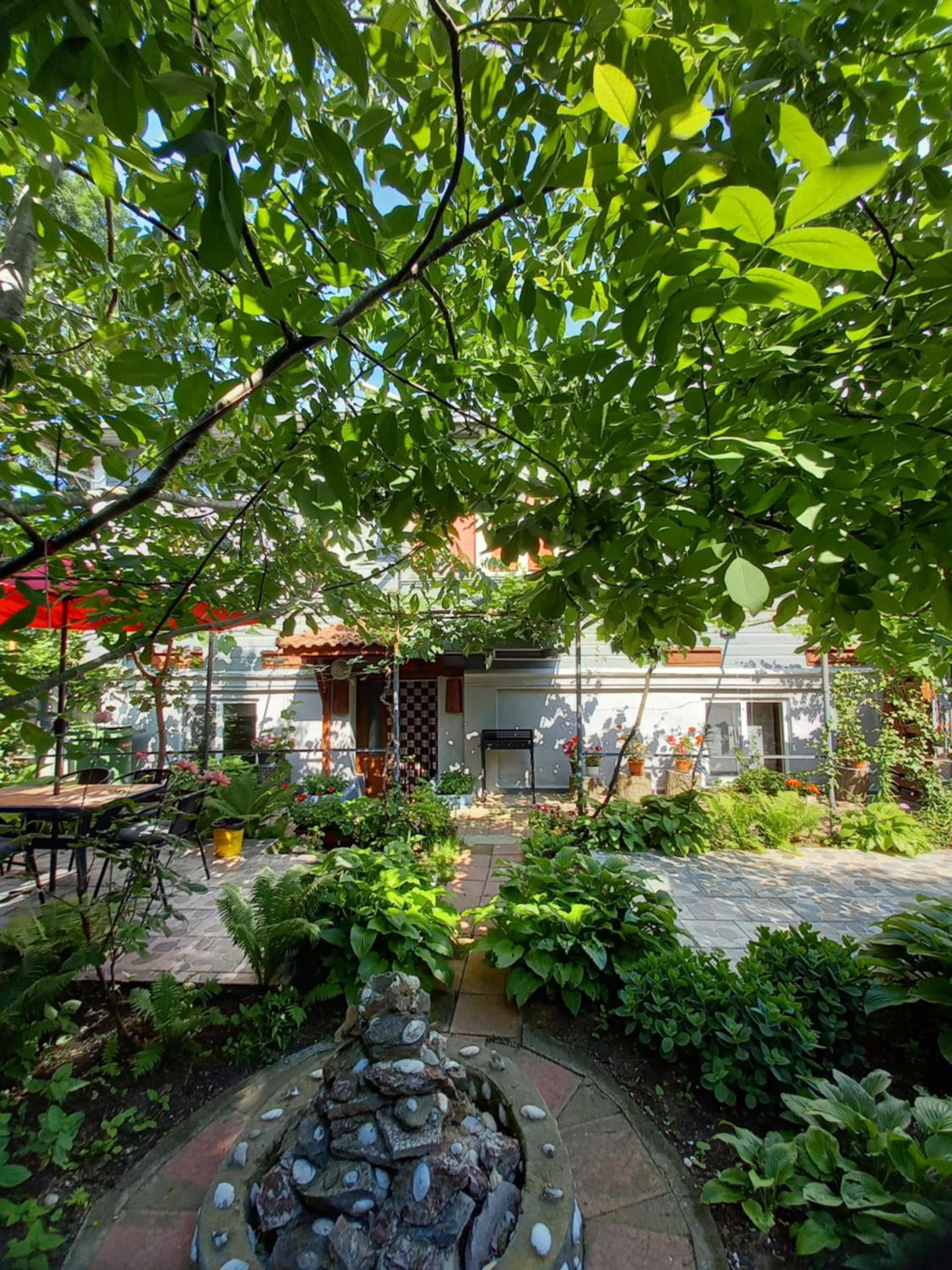 Casa de Vacanta Rodica view 3
