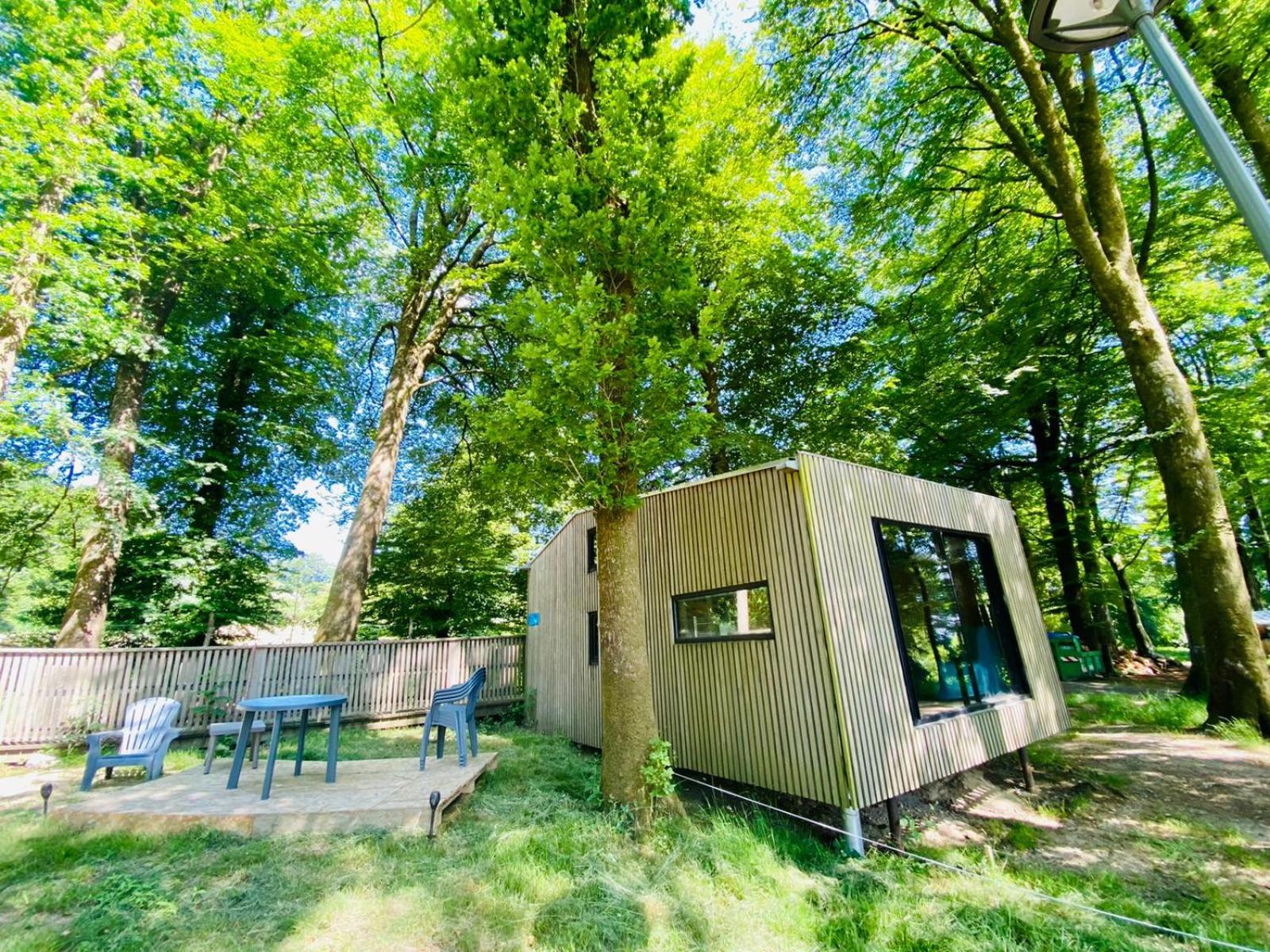 L'étape en forêt