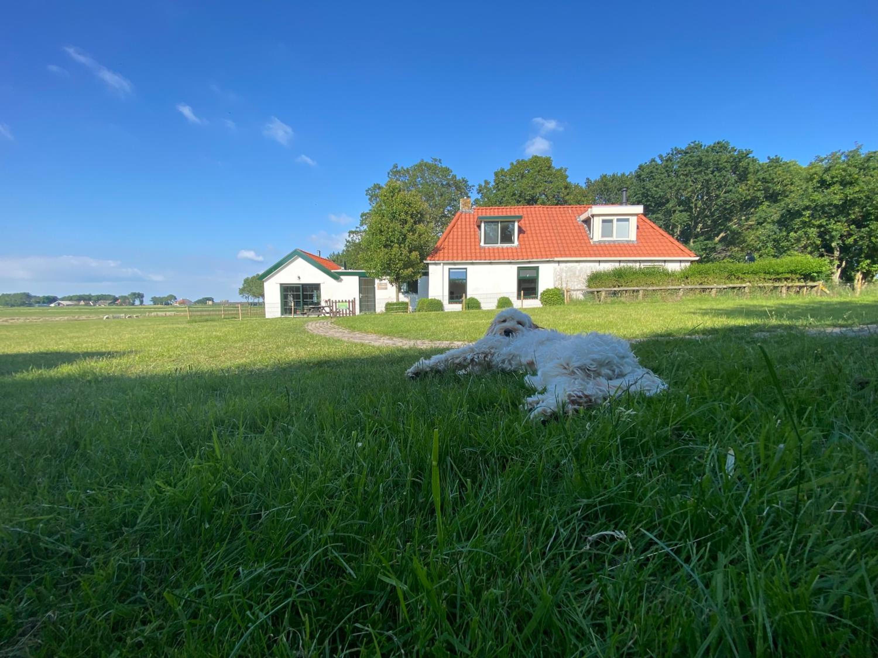 Heerlijk vakantiehuis aan het IJsselmeer view 4