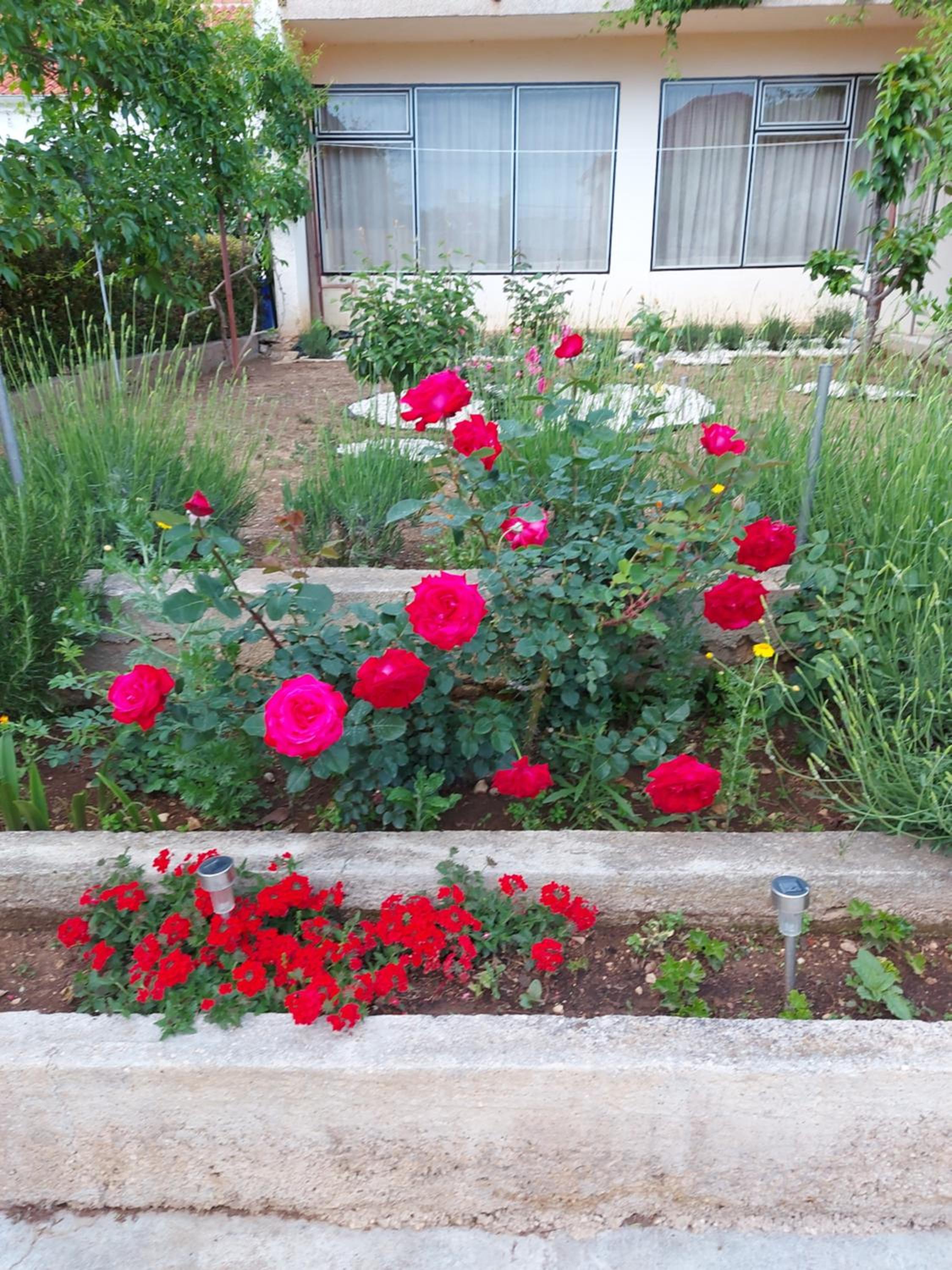 Photo 34