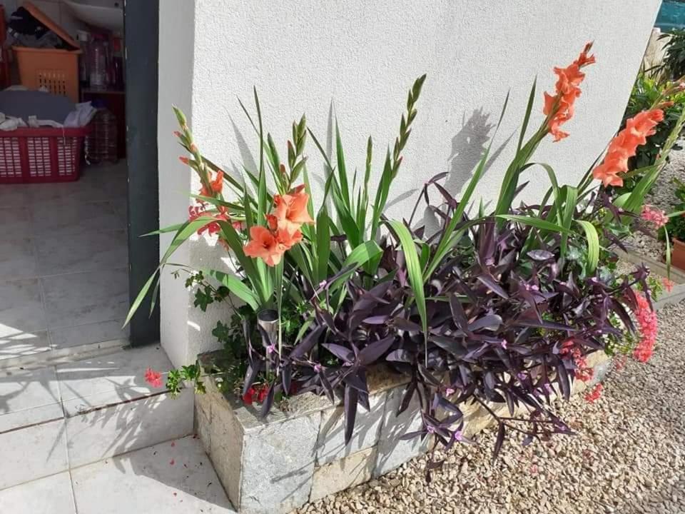 Photo 43