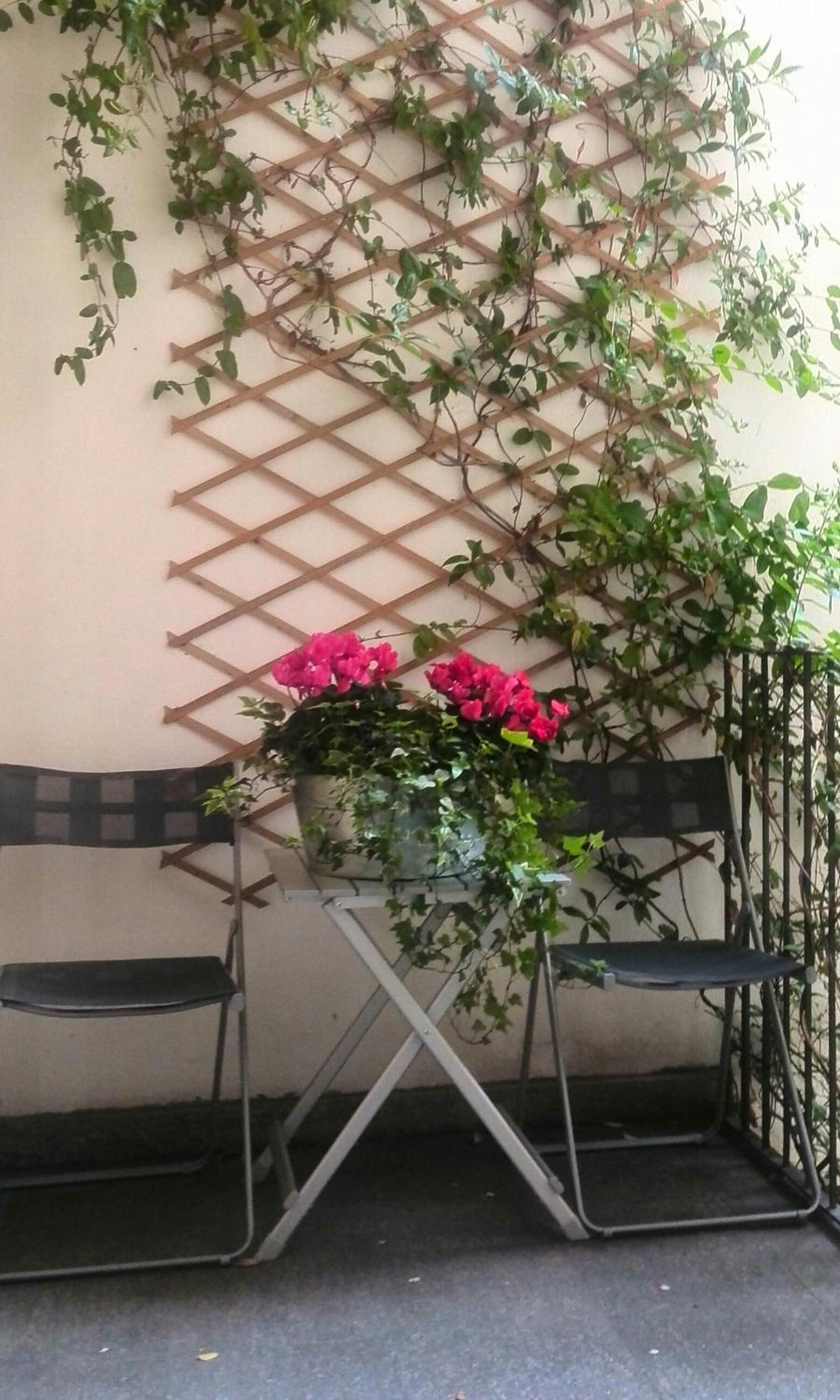 Balcony & Terrace