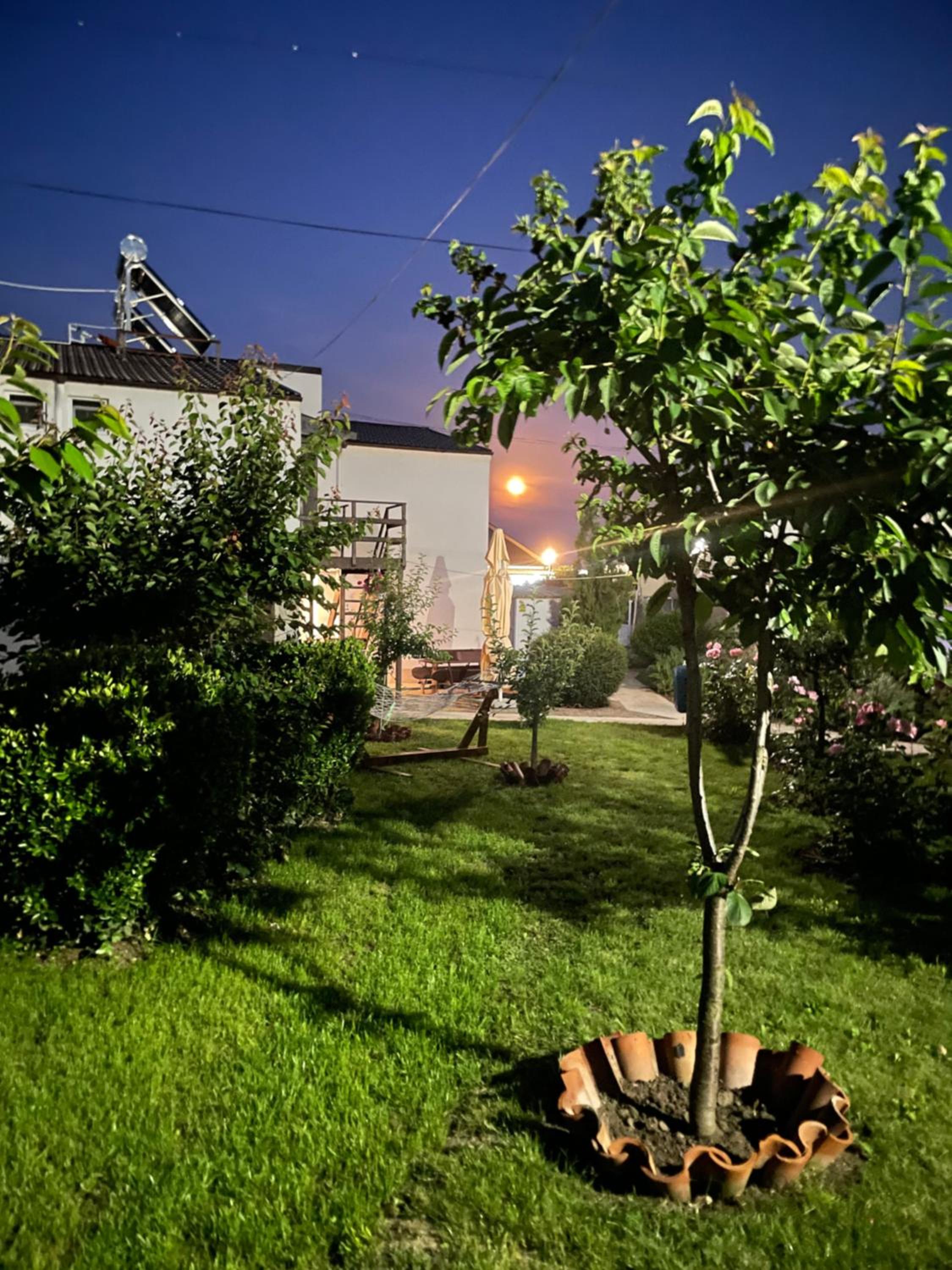Photo 26