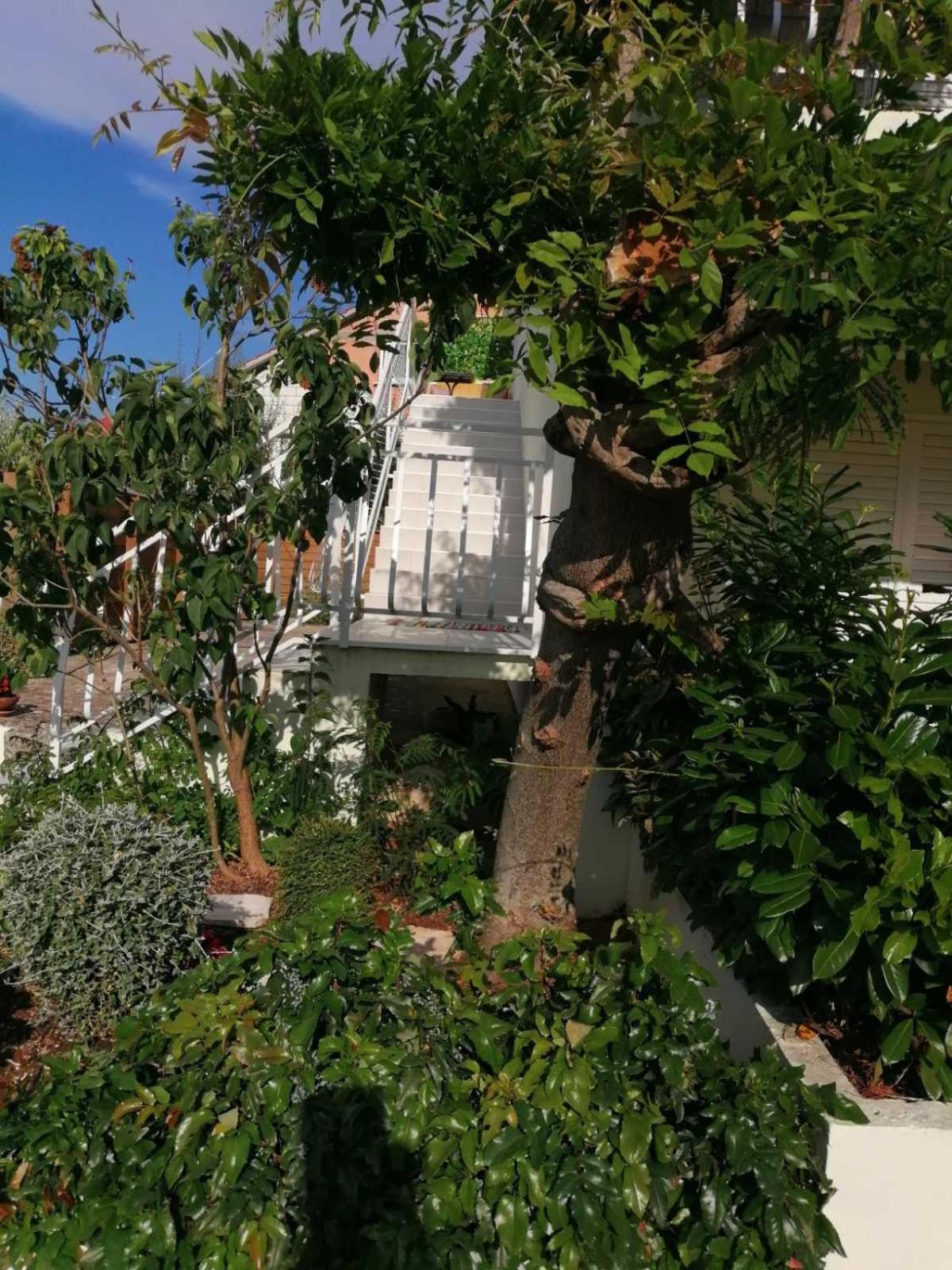Apartman LUCIJA view 4