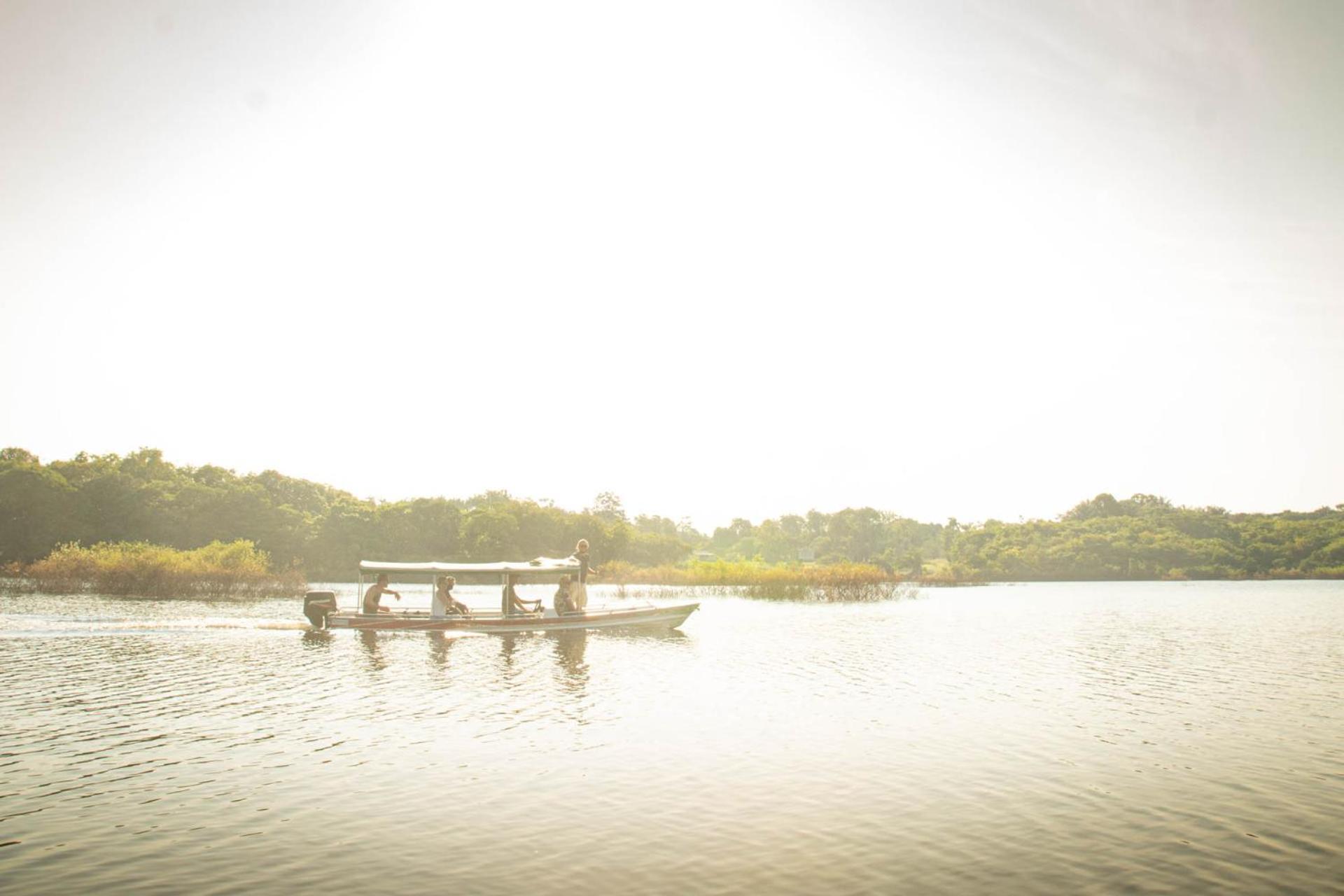 Amazônia Exxperience