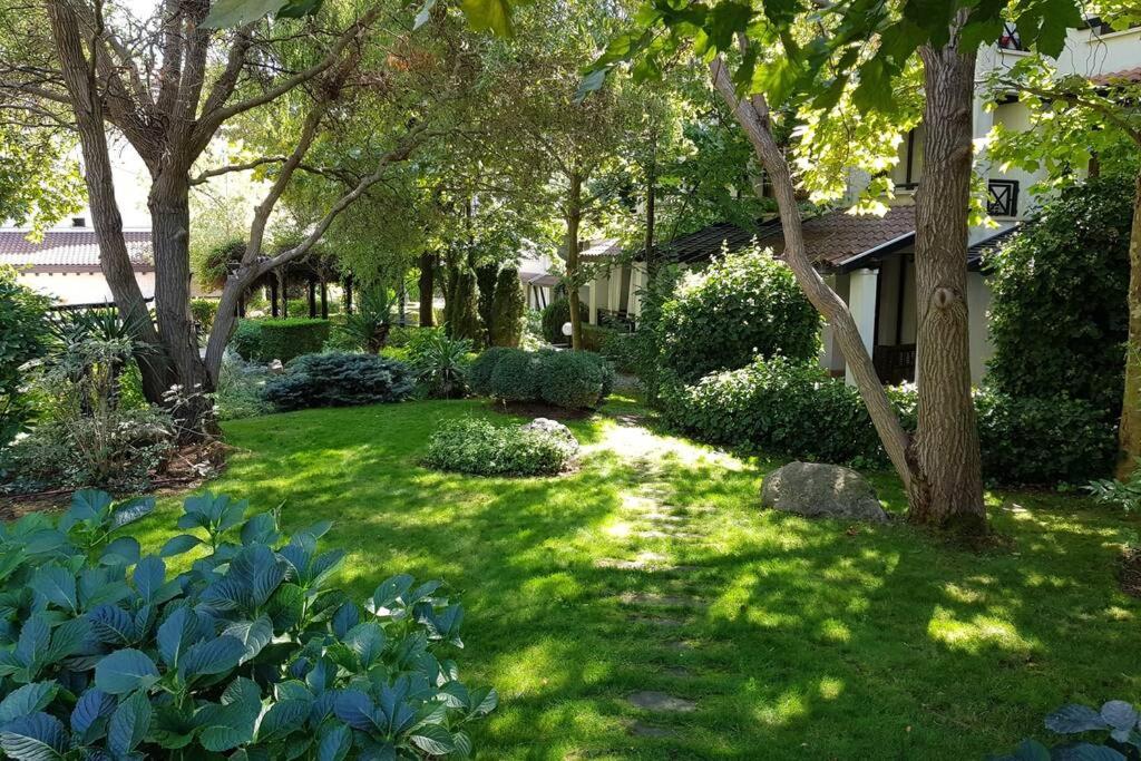 Photo 28