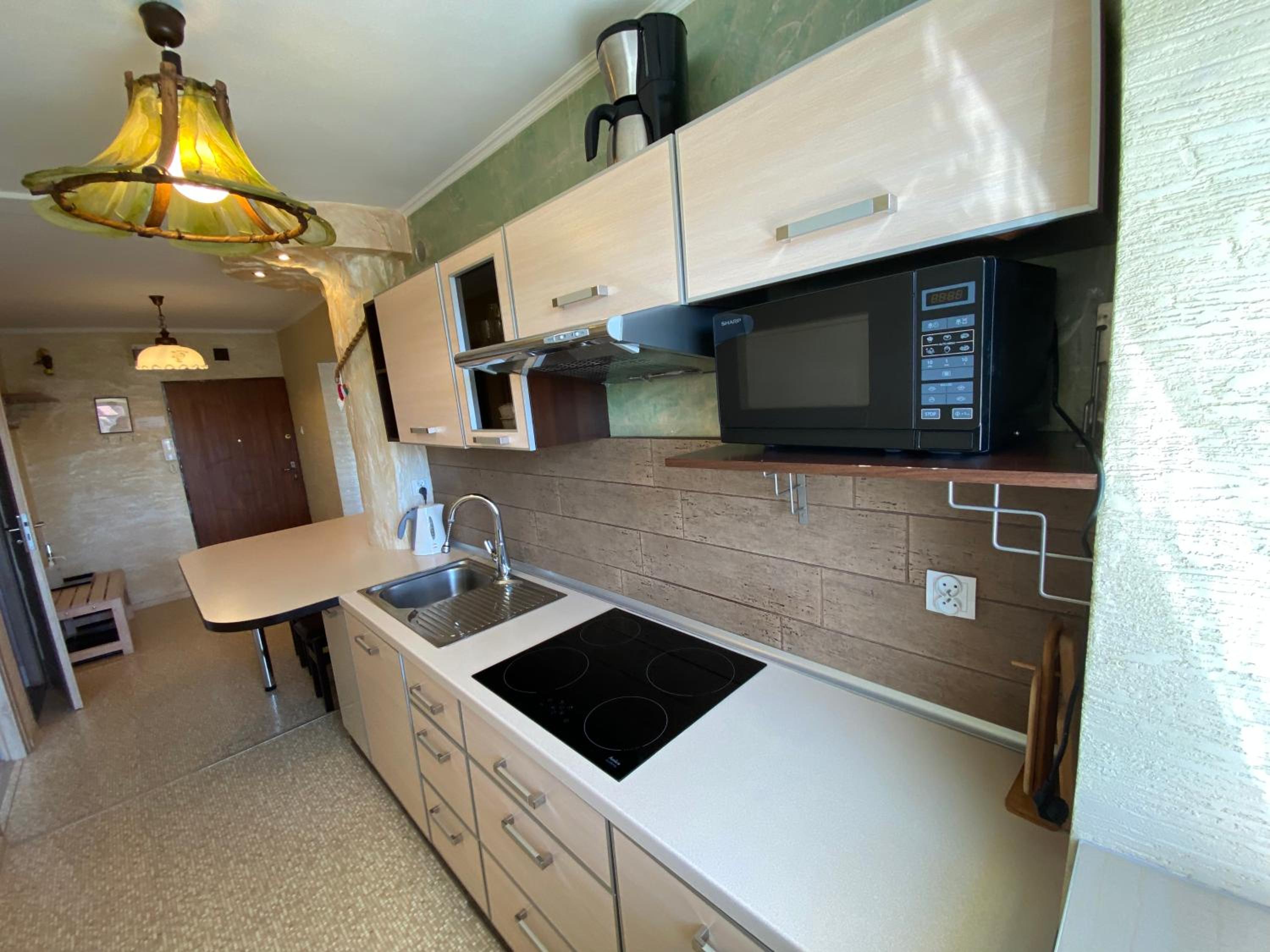APARTAMENT NAD KAMIEŃCZYKIEM IV view 3
