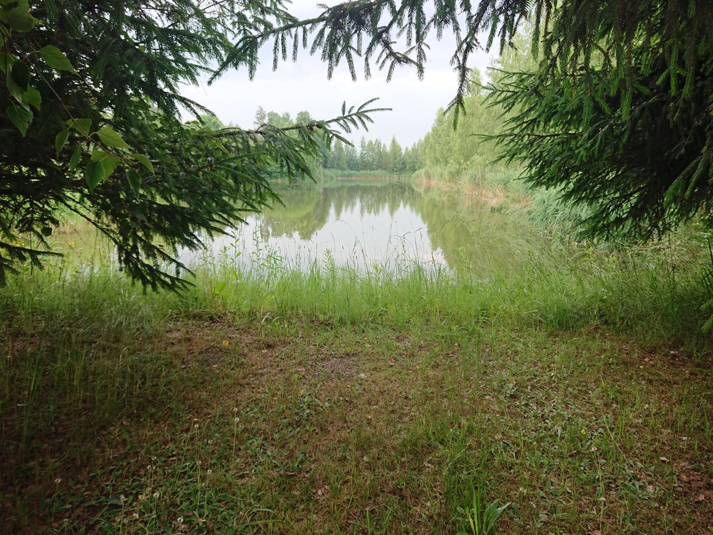 Photo 24