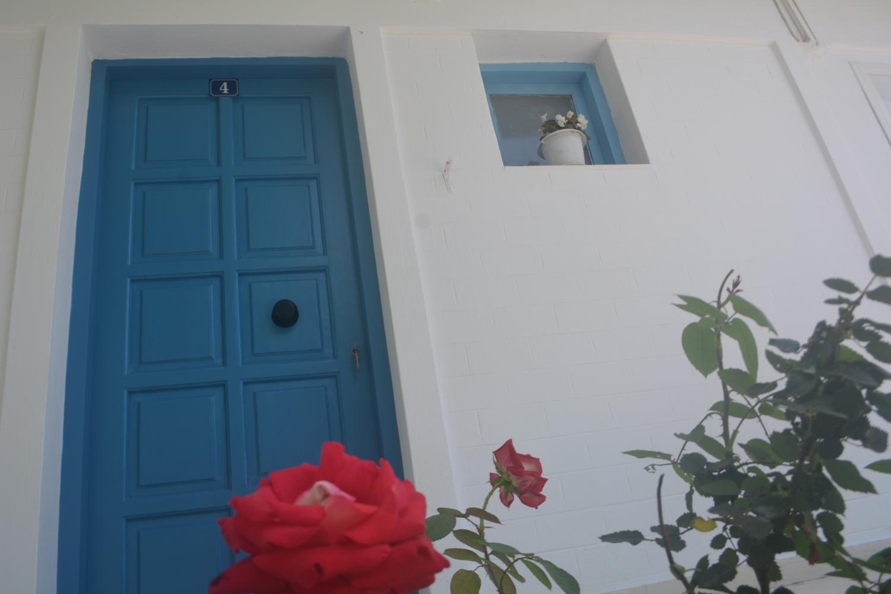 Photo 41