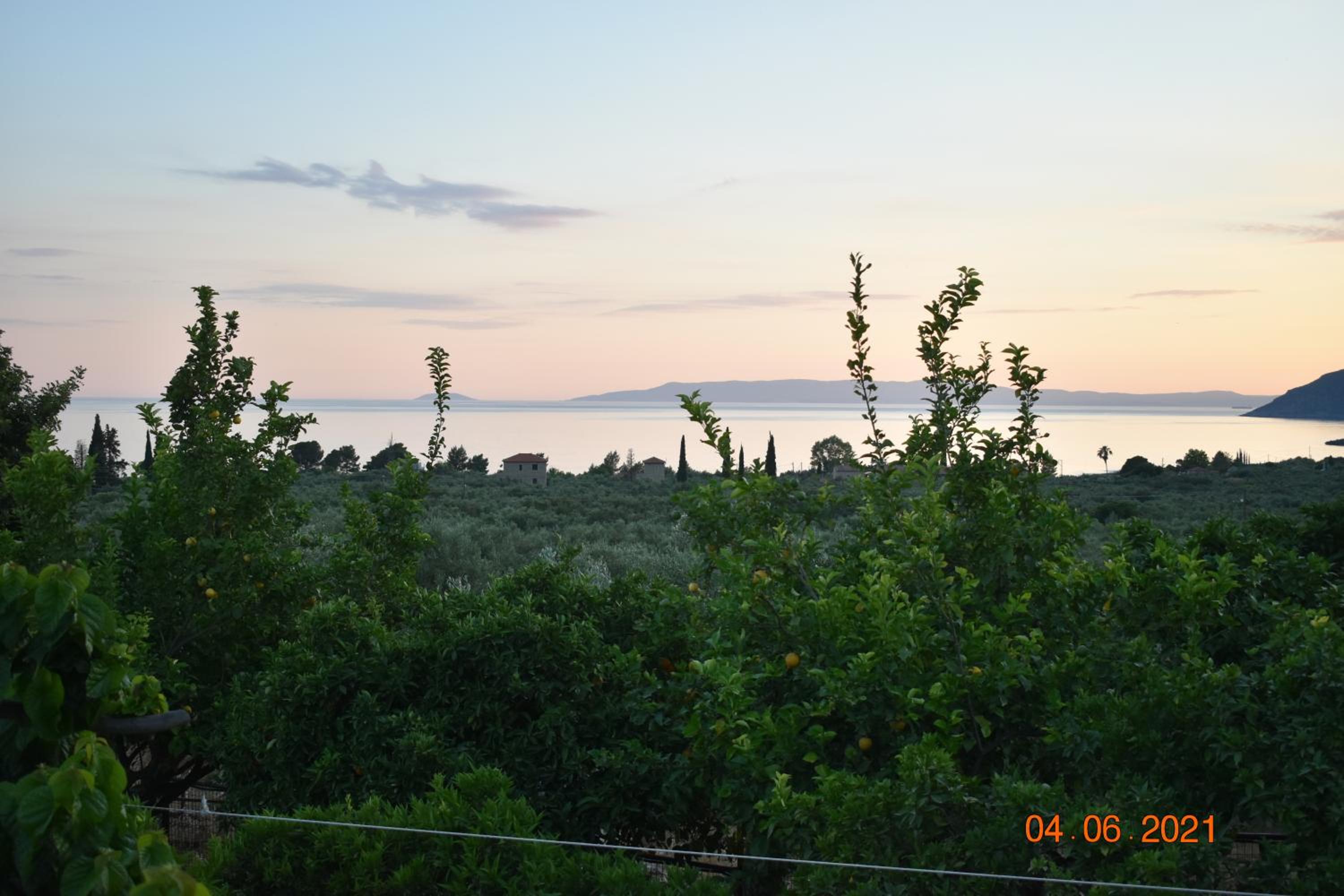Photo 44