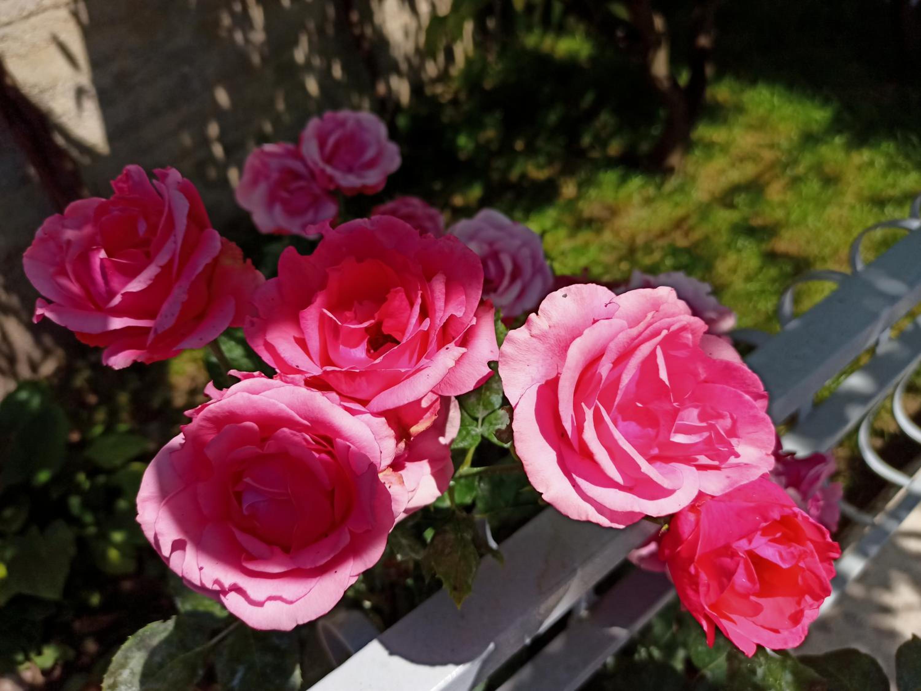 Photo 43