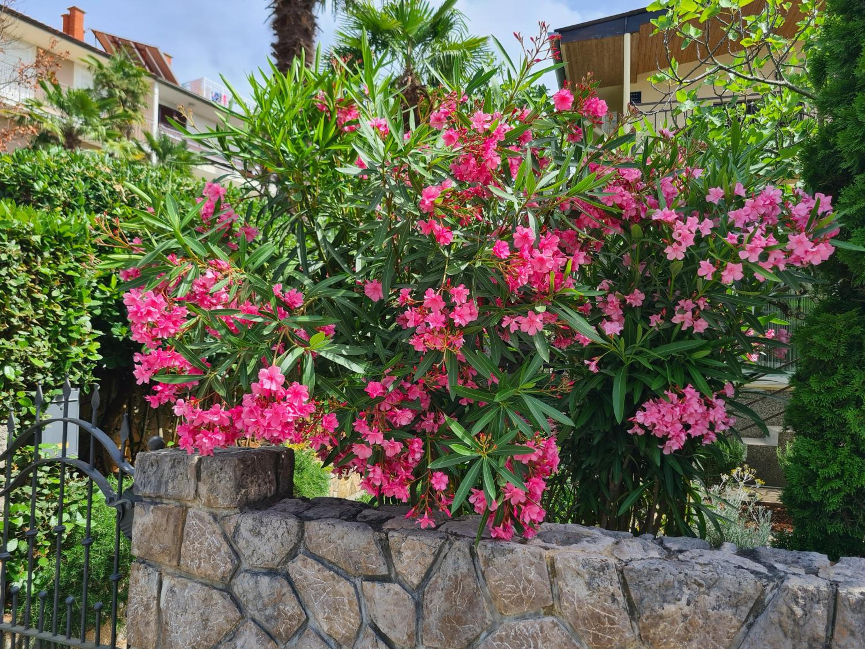 Apartman Tamy